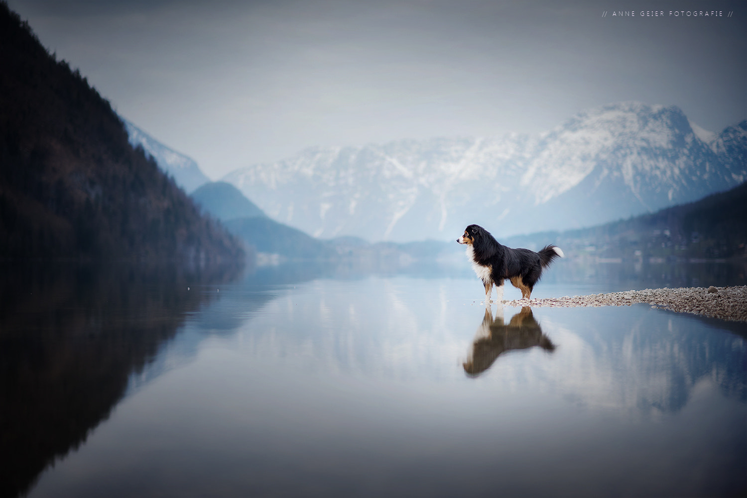 Nikon D750 sample photo. - reflection - photography