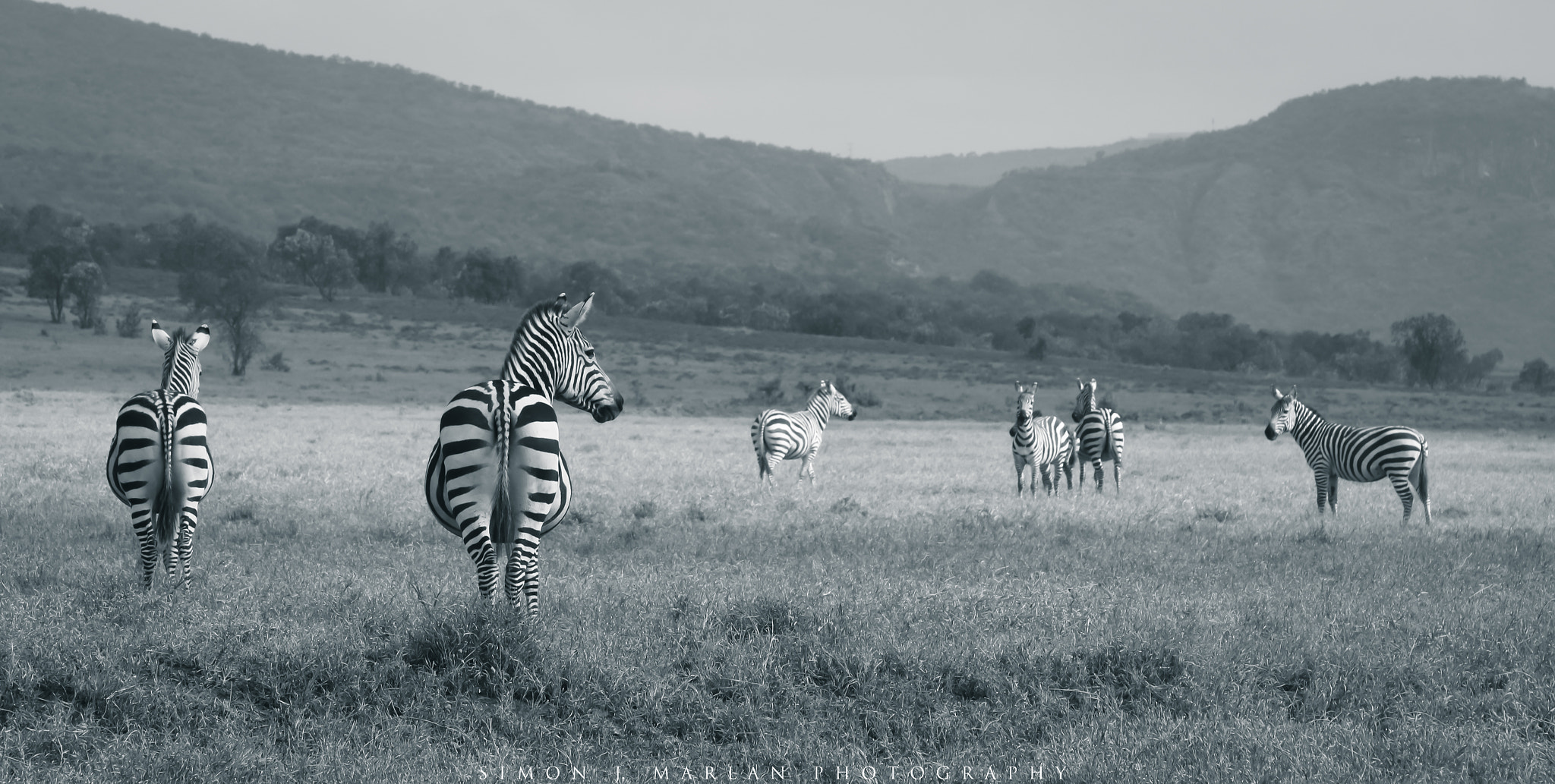 Canon EF 24-105mm F4L IS USM sample photo. Stripes photography