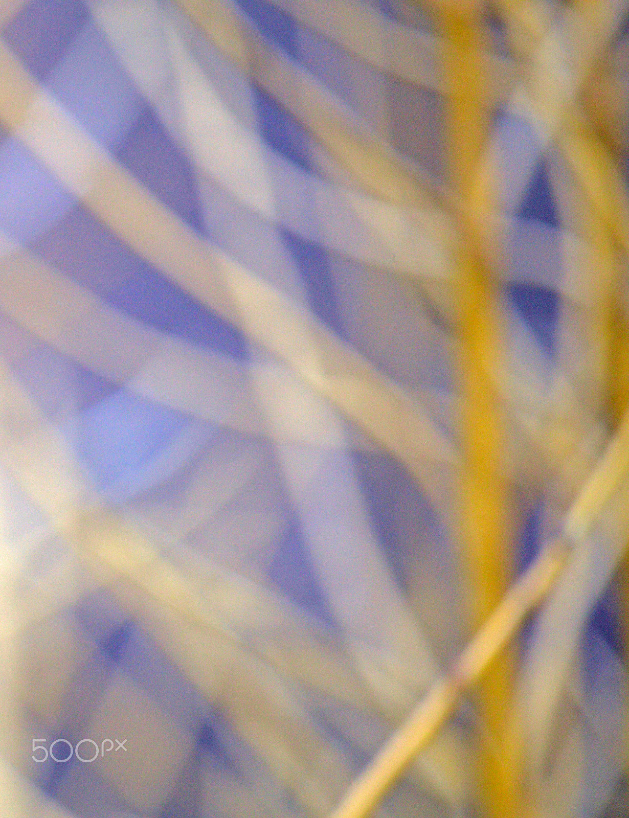 Canon EF-S 55-250mm F4-5.6 IS STM sample photo. Branching out photography
