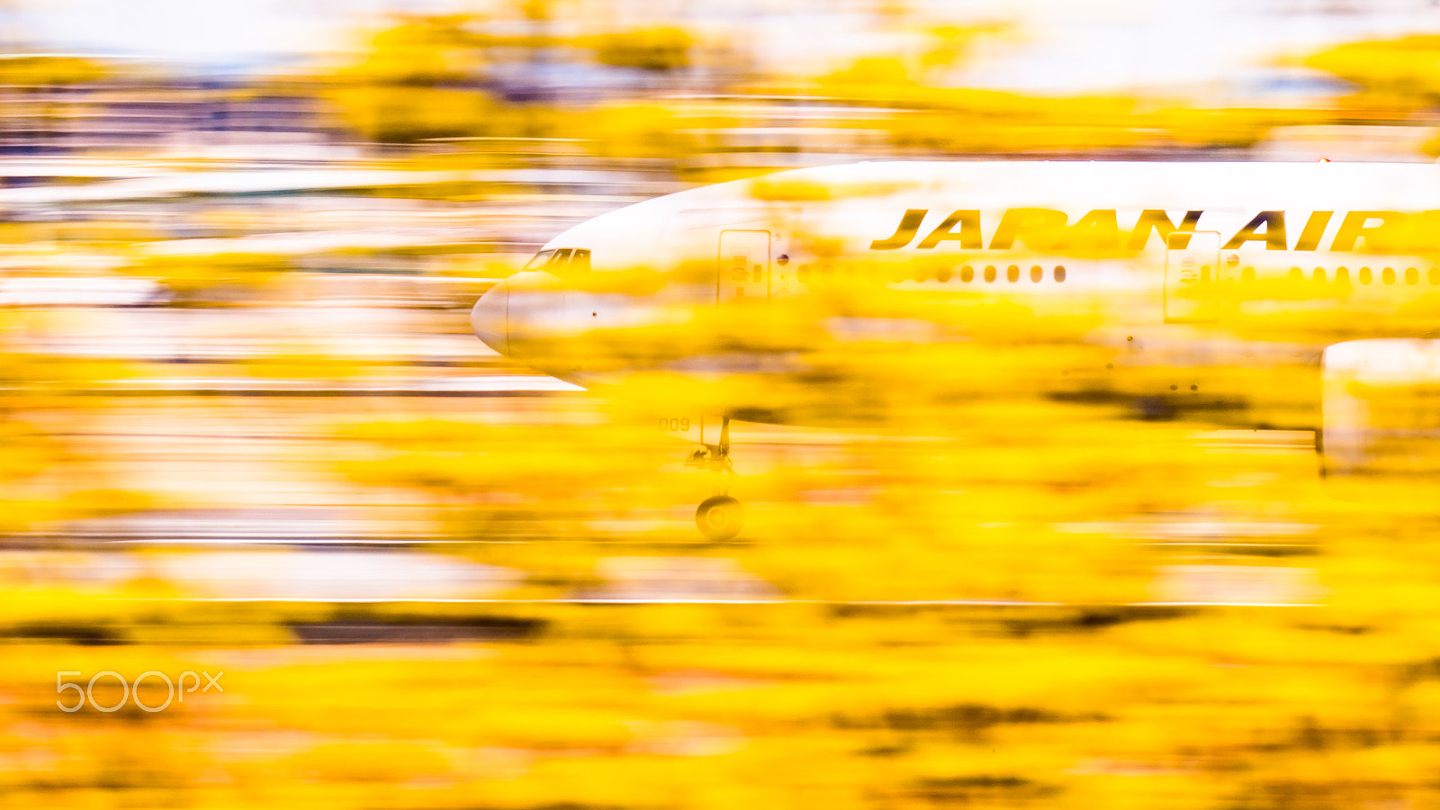 LEICA DG 100-400/F4.0-6.3 sample photo. Spring photography