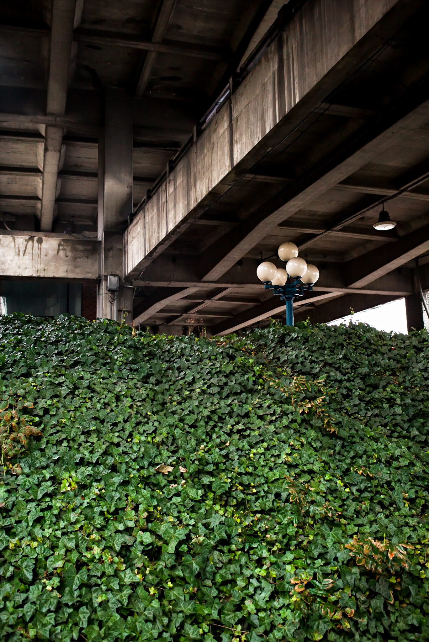 Leica Summilux-M 35mm F1.4 ASPH sample photo. Concrete nature photography
