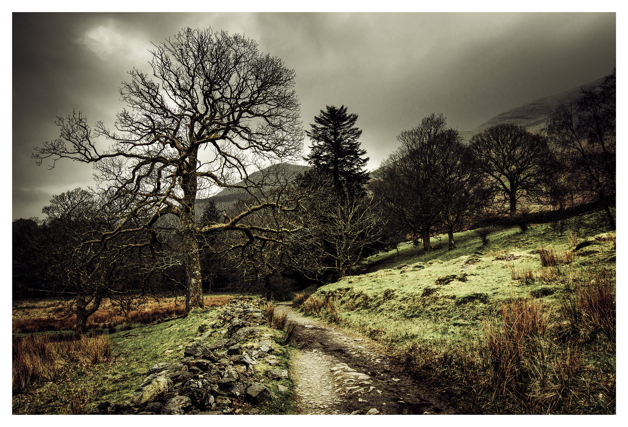 Nikon D7200 + Sigma 10-20mm F3.5 EX DC HSM sample photo. Pathway to loweswater photography