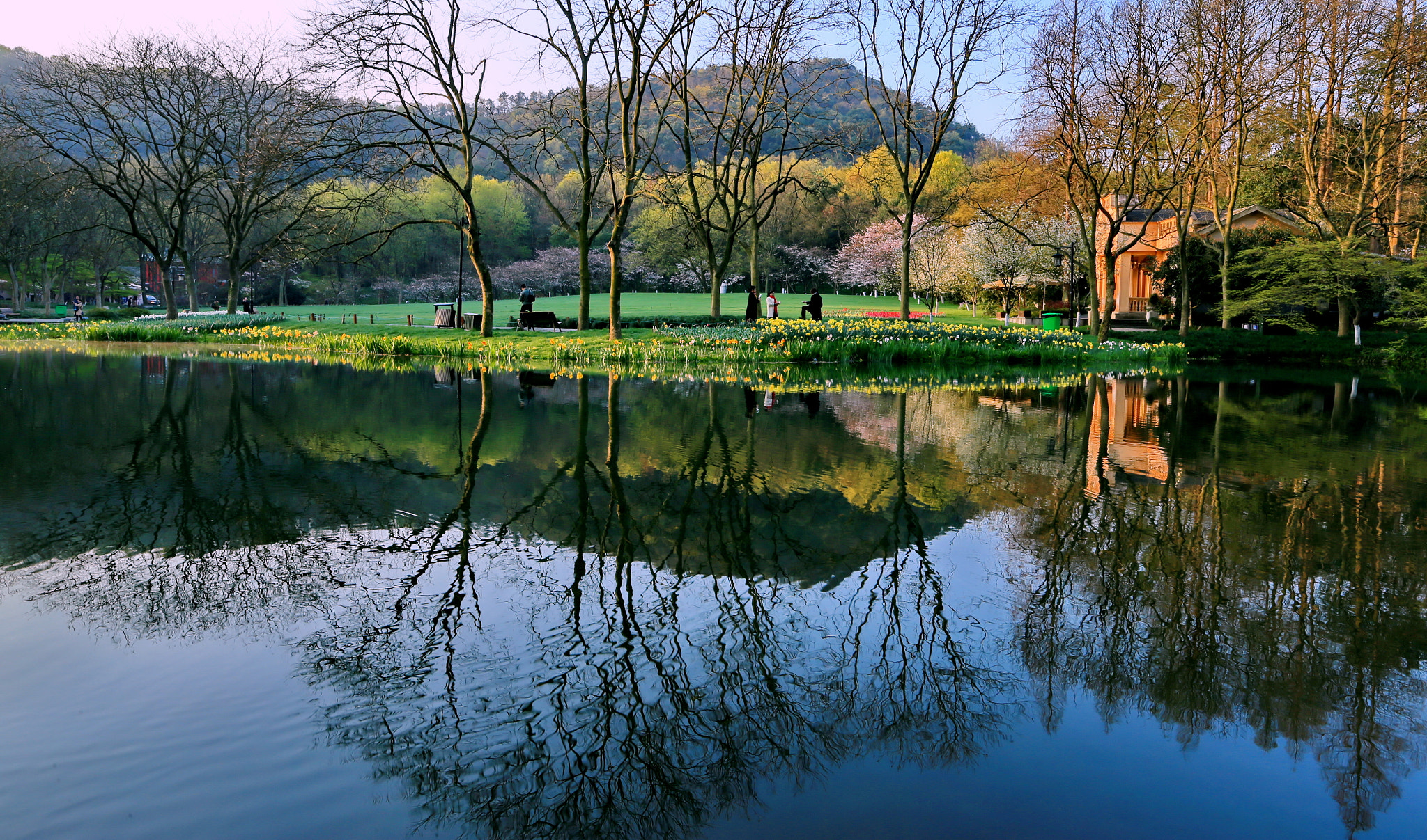 Canon EOS-1D X + Canon EF 16-35mm F2.8L II USM sample photo. Good morning photography