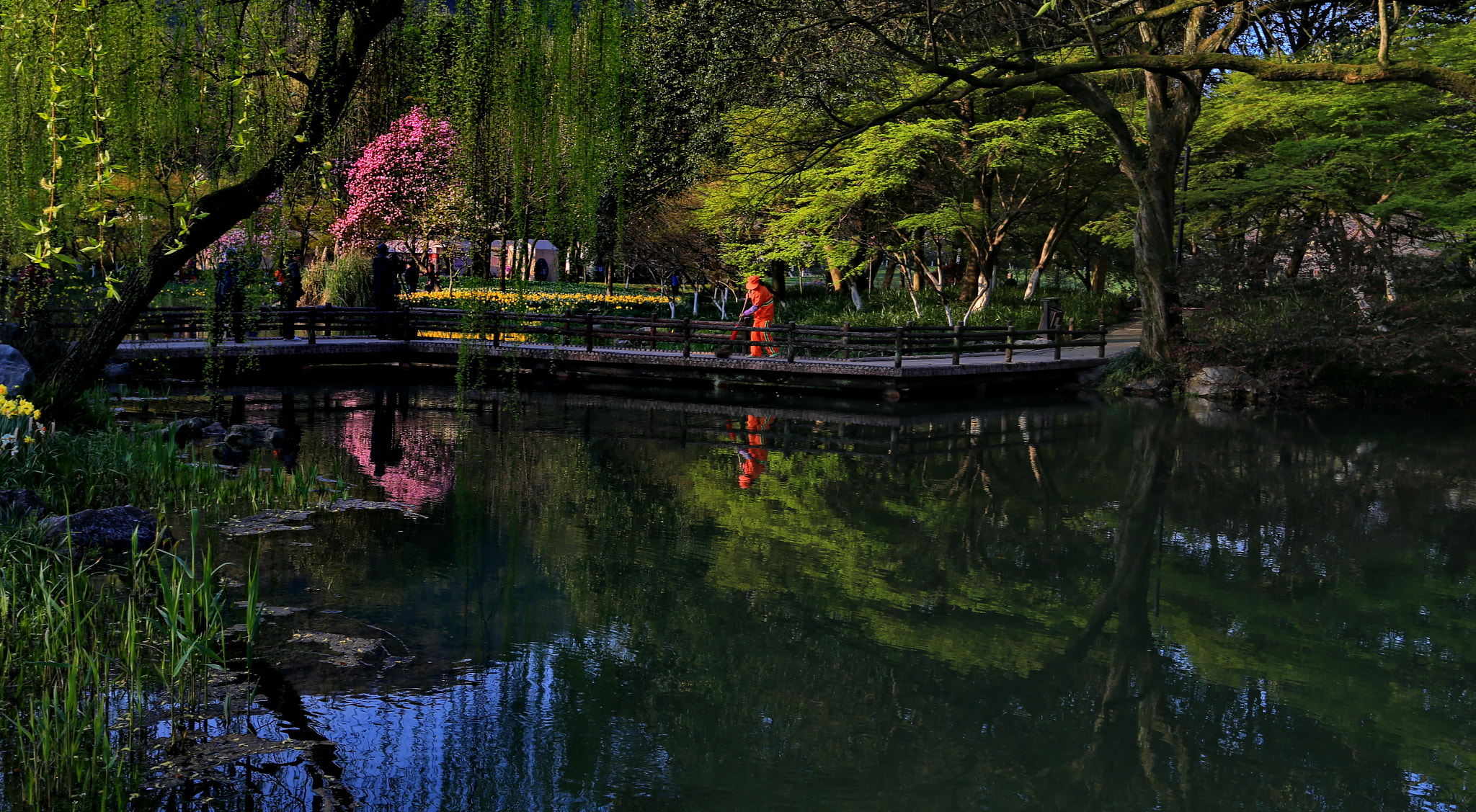 Canon EF 16-35mm F2.8L II USM sample photo. Peaceful morning photography