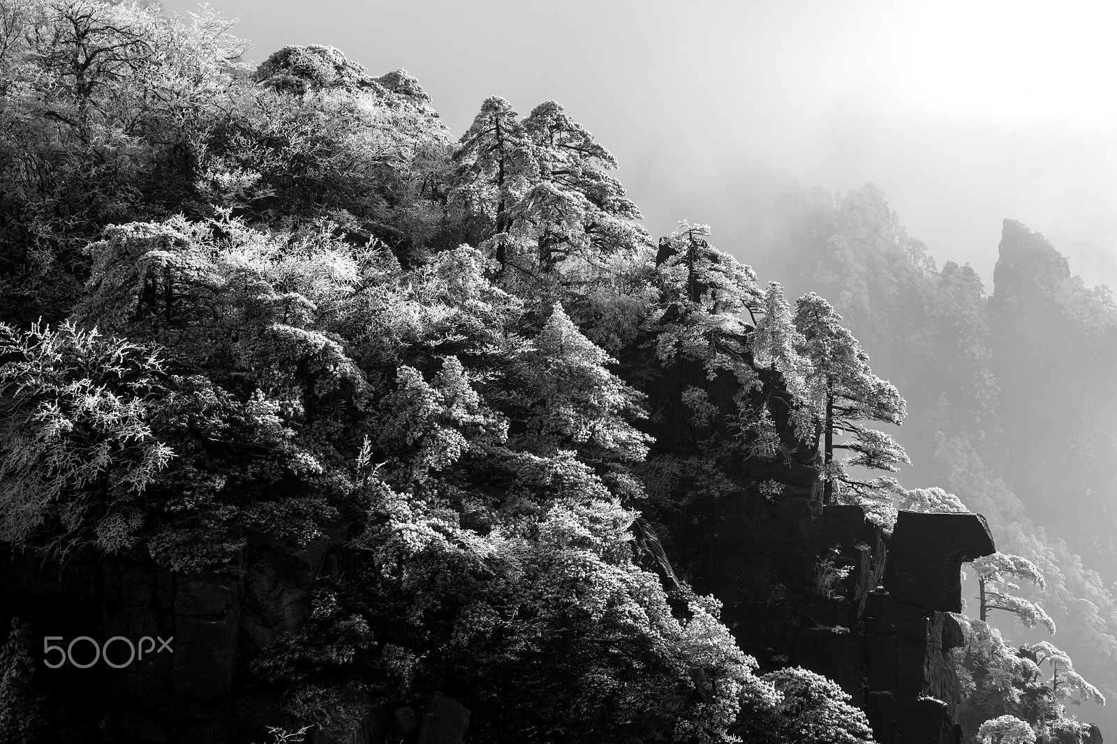 Canon EOS-1D X sample photo. Huangn shan mt after snow photography