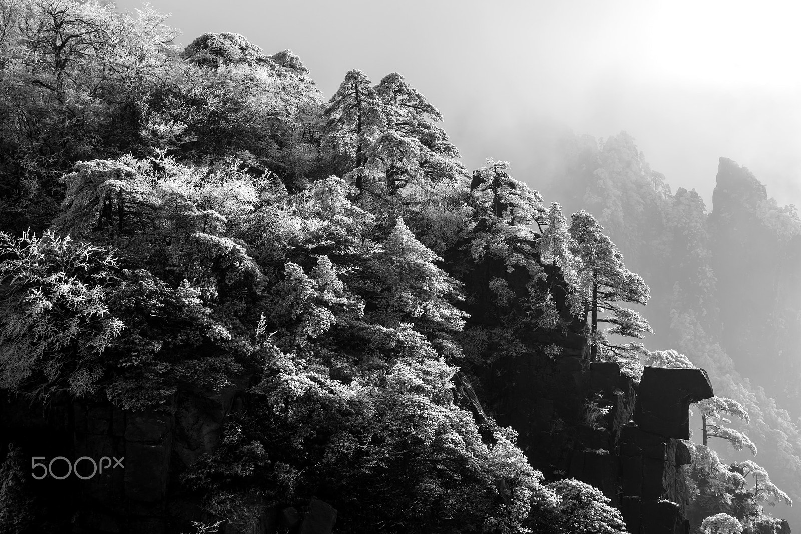 Canon EF 24-70mm F2.8L II USM sample photo. Huangn shan mt after snow photography