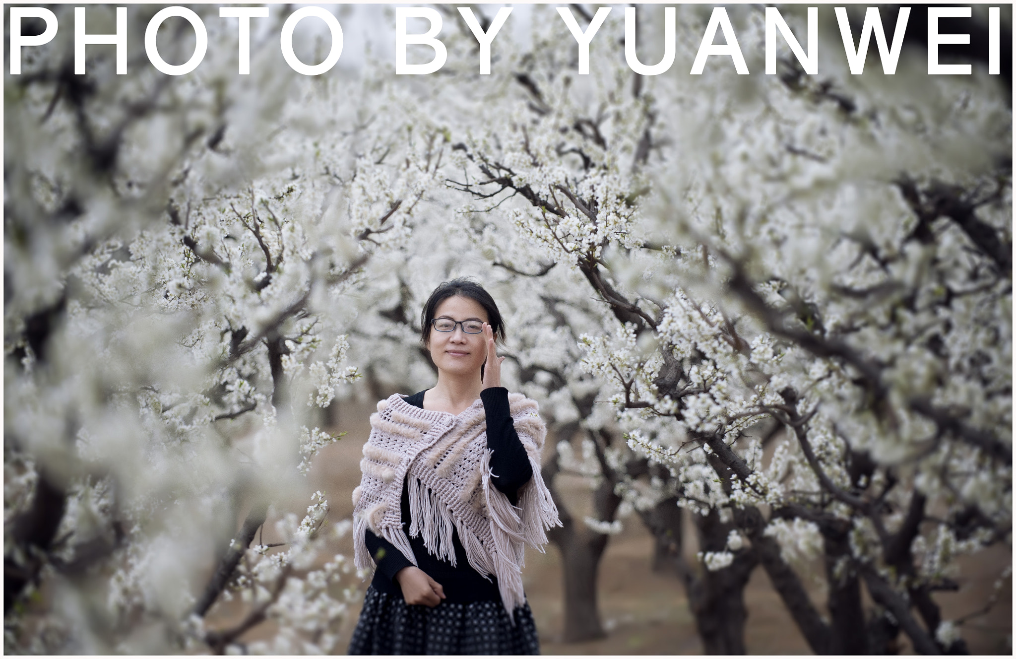 Nikon D700 sample photo