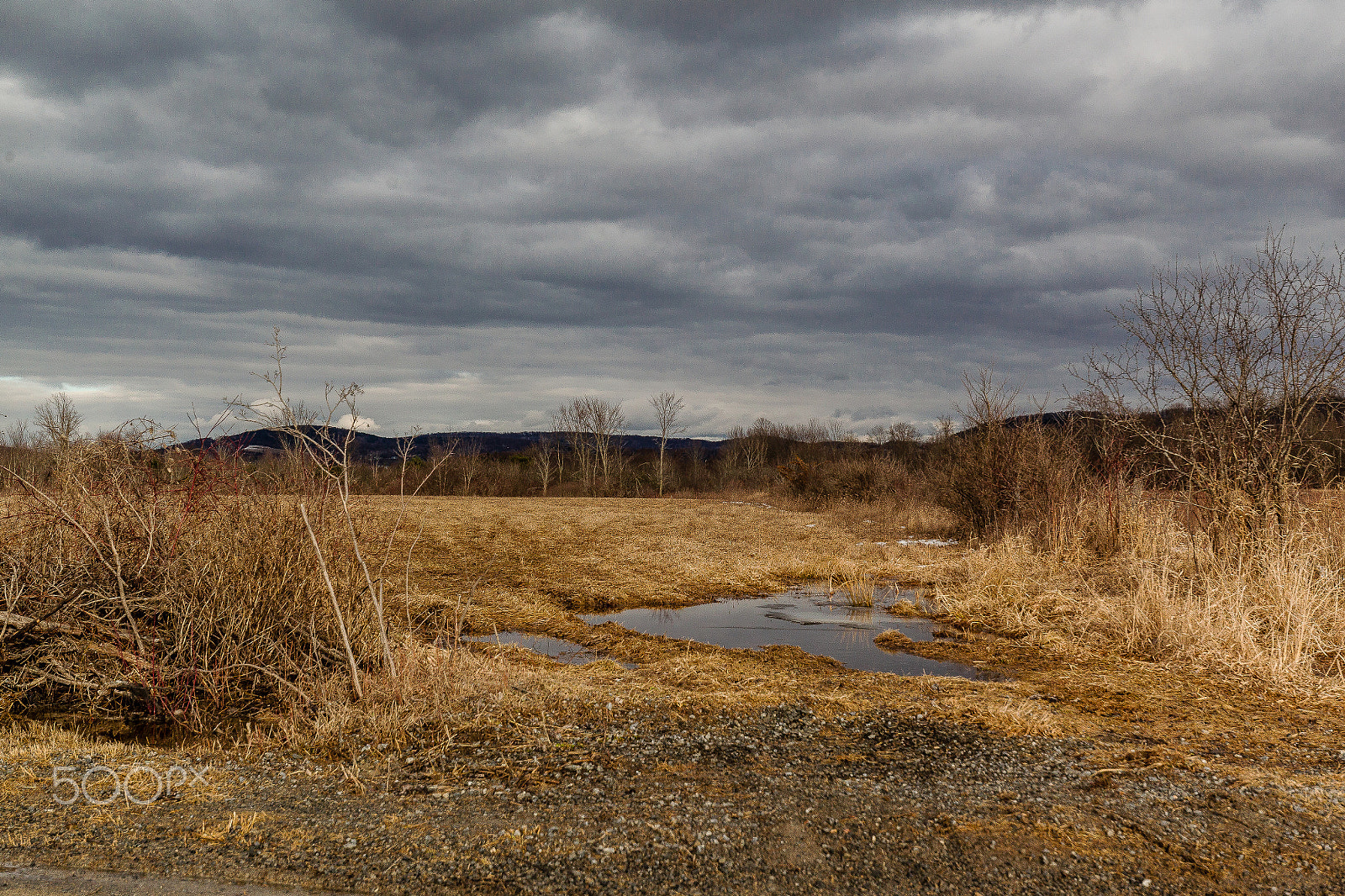 Canon EF 16-35mm F4L IS USM sample photo. Field view photography