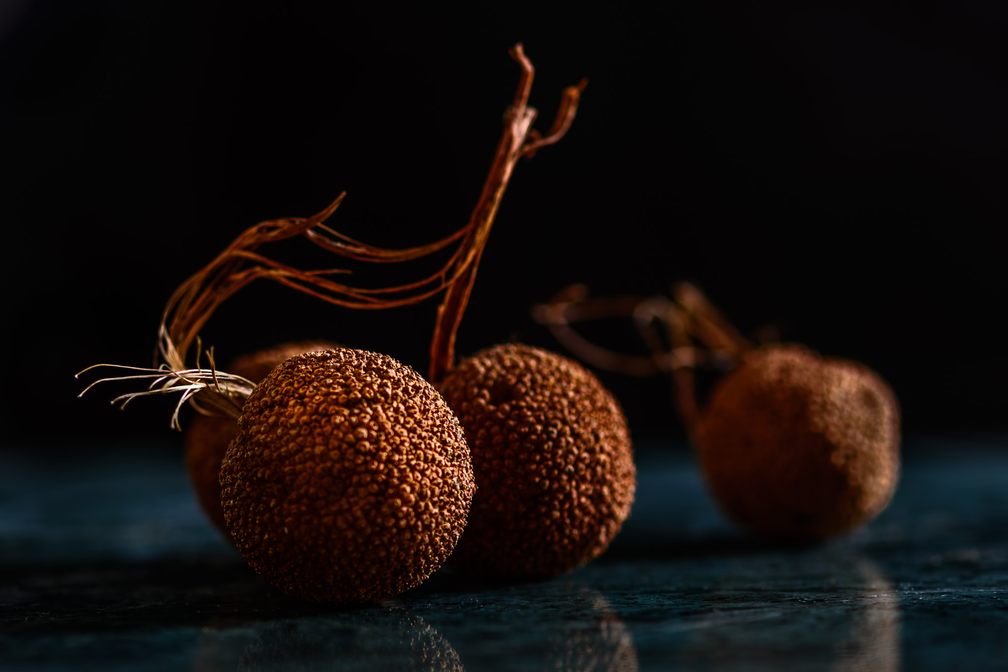 Nikon AF-S Micro-Nikkor 105mm F2.8G IF-ED VR sample photo. Seed balls photography