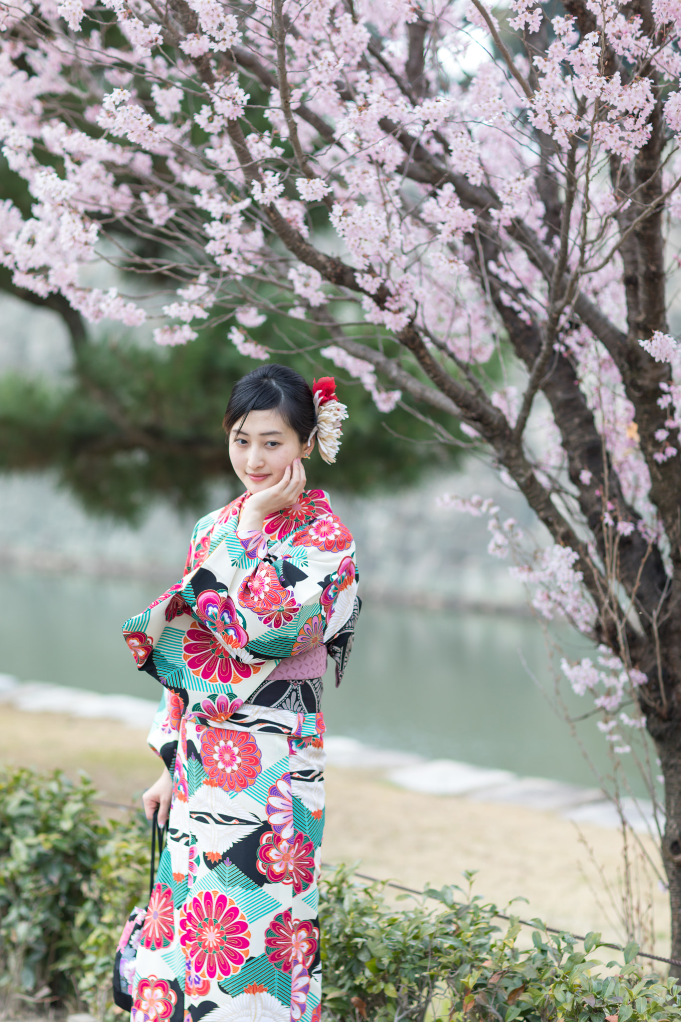 Canon EF 85mm F1.2L II USM sample photo. Early sakura photography