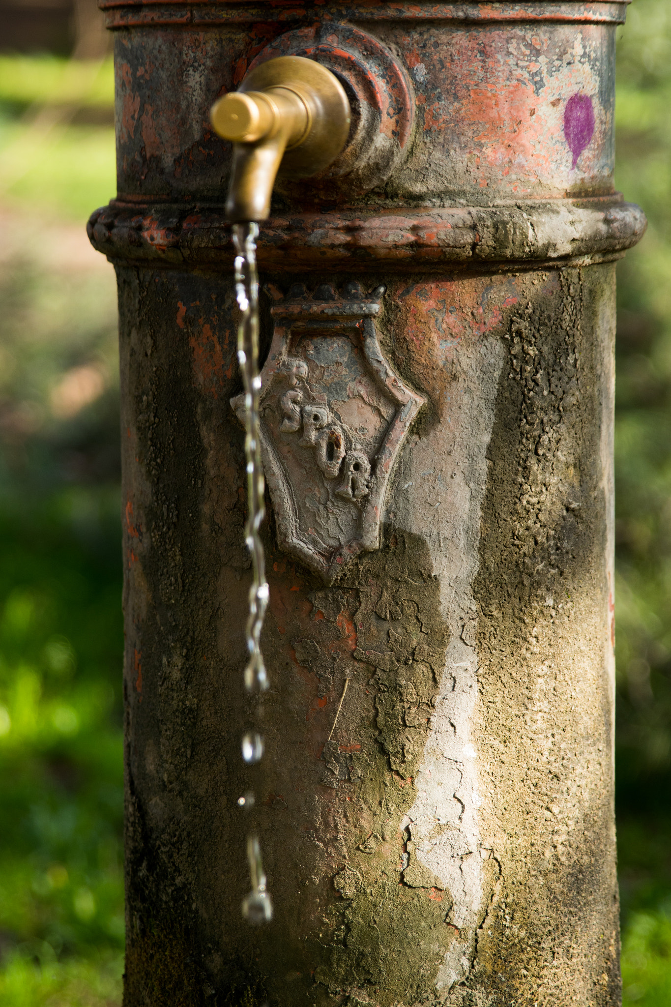 Sigma 24-70mm F2.8 EX DG Macro sample photo. Roman drinking fountain photography