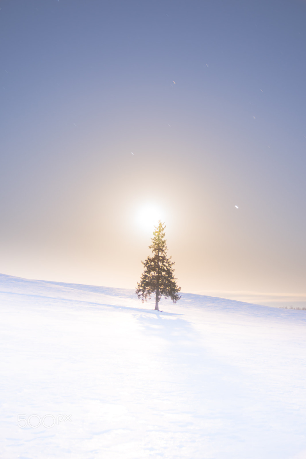 17-50mm F2.8 sample photo. 21-08:moonlight photography
