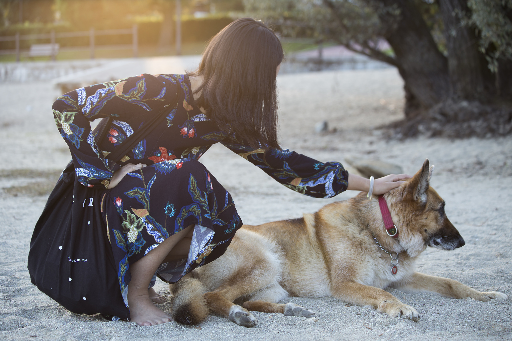 Canon EF 70-300mm F4-5.6 IS USM sample photo. Hi, nice to meet you photography