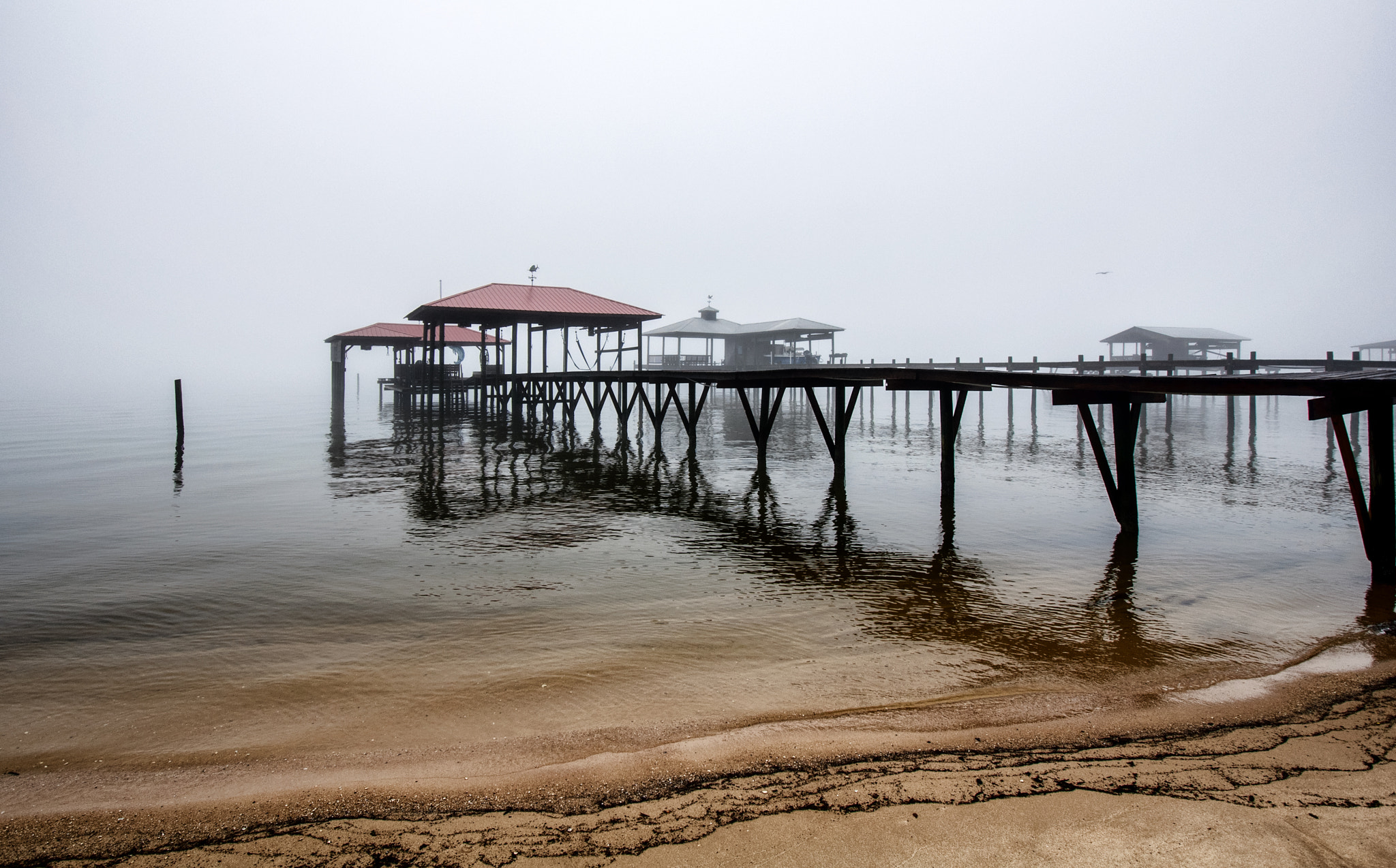 Nikon D90 sample photo. Sound of silence photography