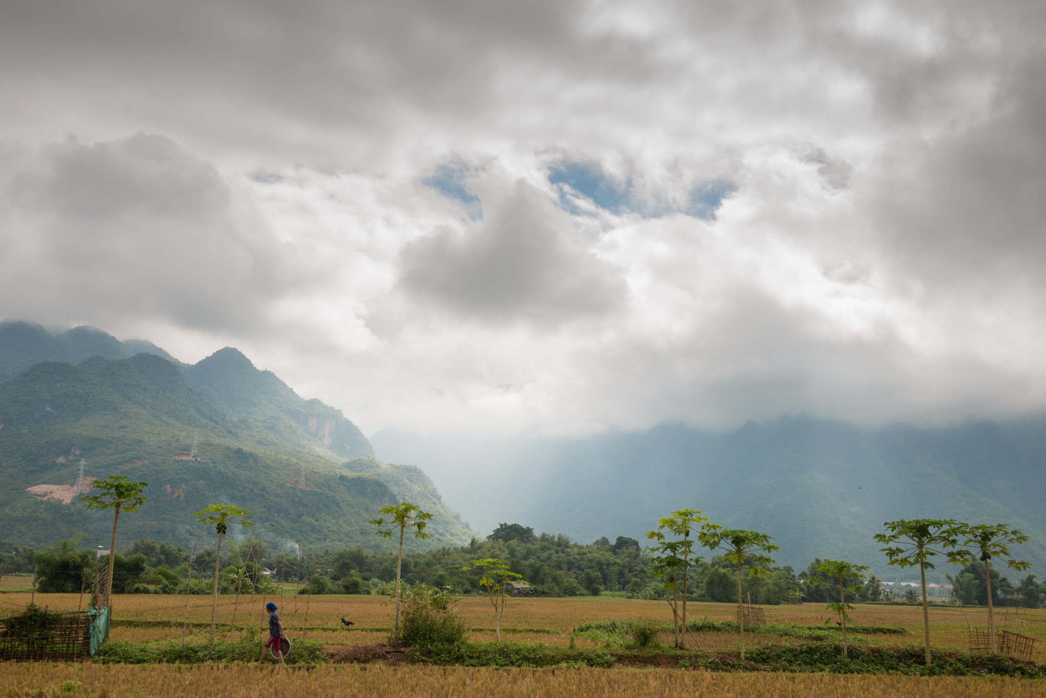 Nikon AF-S Nikkor 24-70mm F2.8G ED sample photo. Vietnam photography