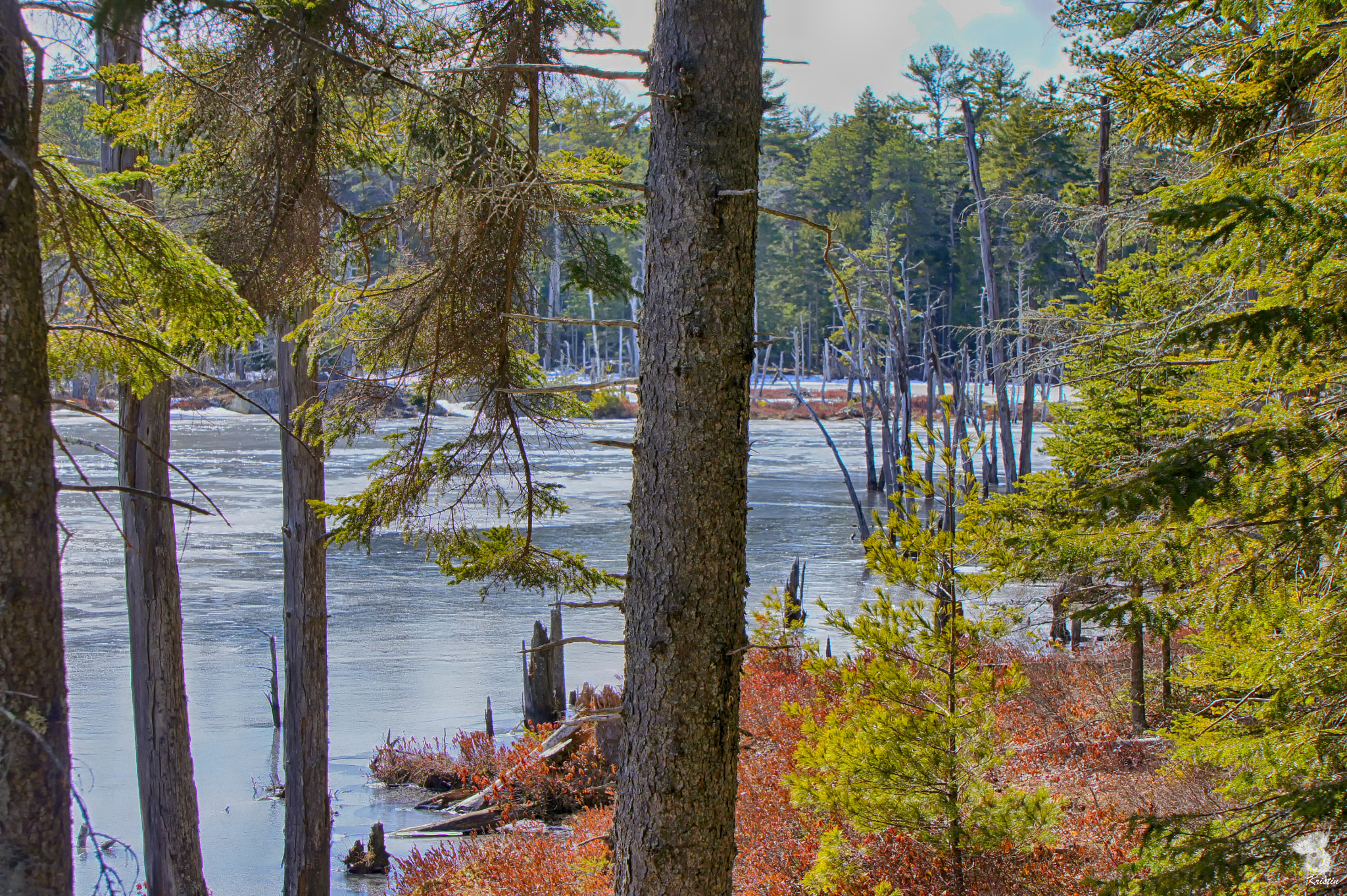 Sony Alpha NEX-3 + Sony E 55-210mm F4.5-6.3 OSS sample photo. Nature preserve photography