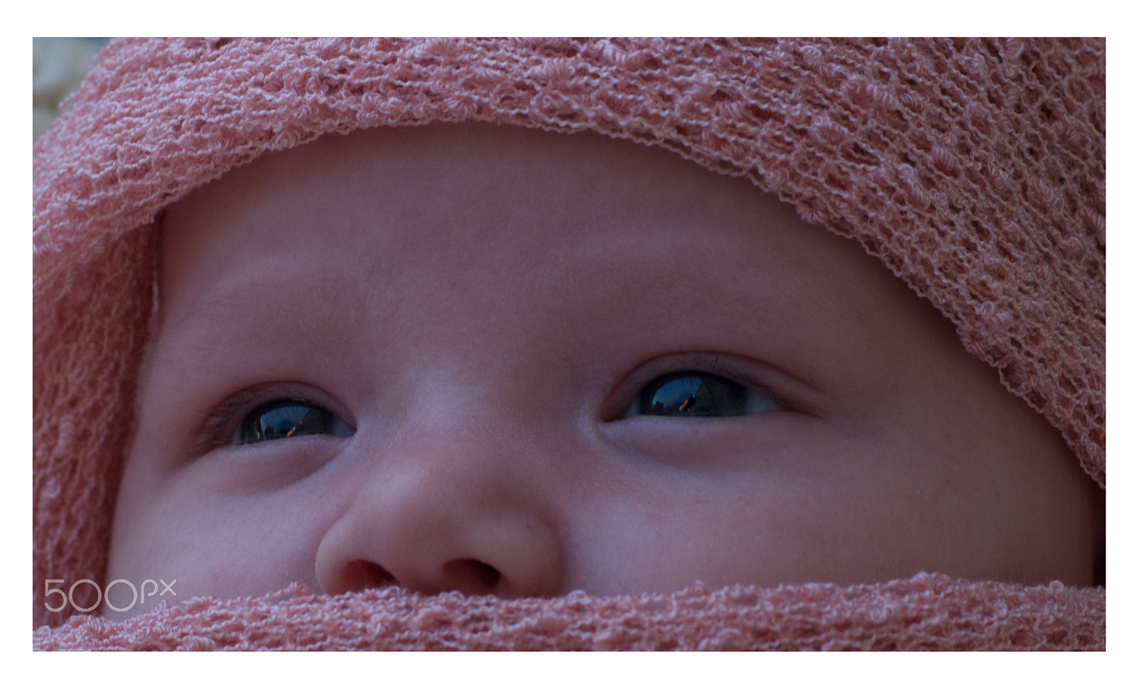 Nikon D800E + Nikon AF-S Nikkor 50mm F1.8G sample photo. Mila augen photography