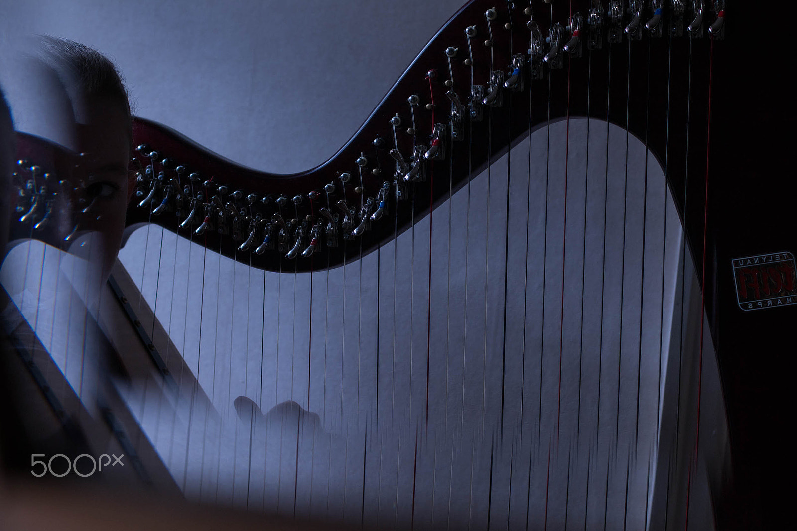 Canon EOS 70D + Canon EF 50mm F1.4 USM sample photo. Musician portraits photography