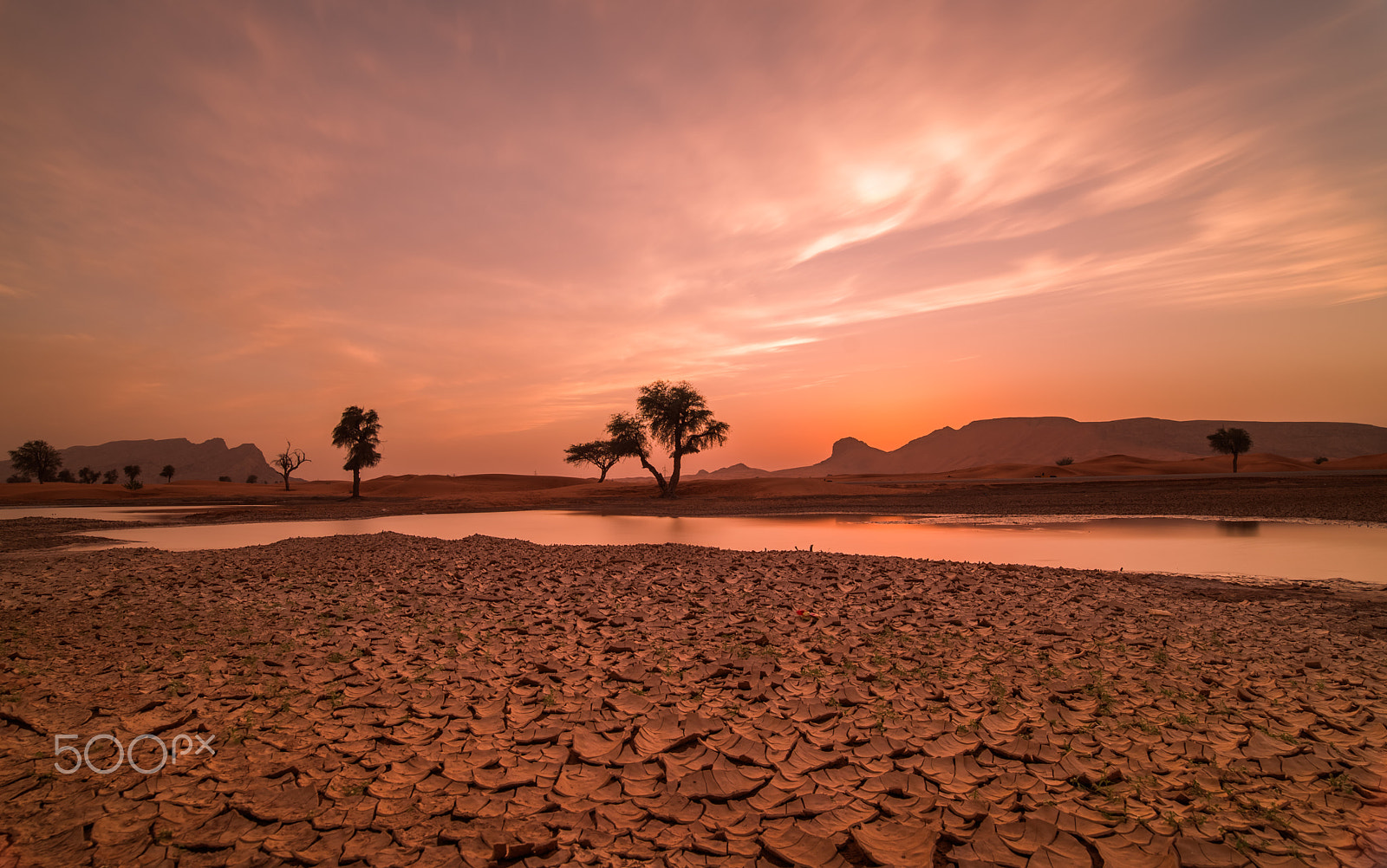 Nikon D610 sample photo. Desert sunset photography
