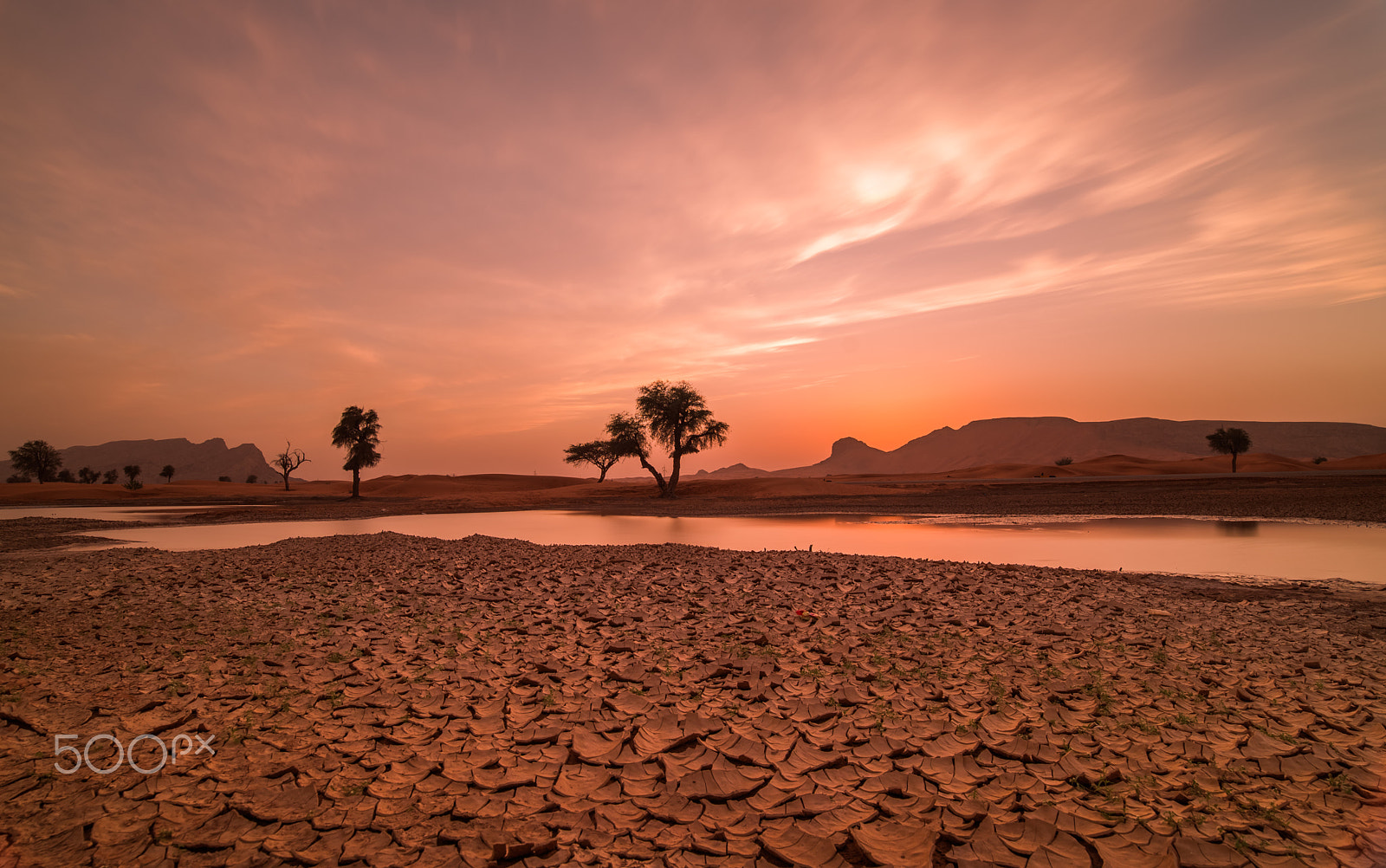 Samyang 14mm F2.8 ED AS IF UMC sample photo. Desert sunset photography