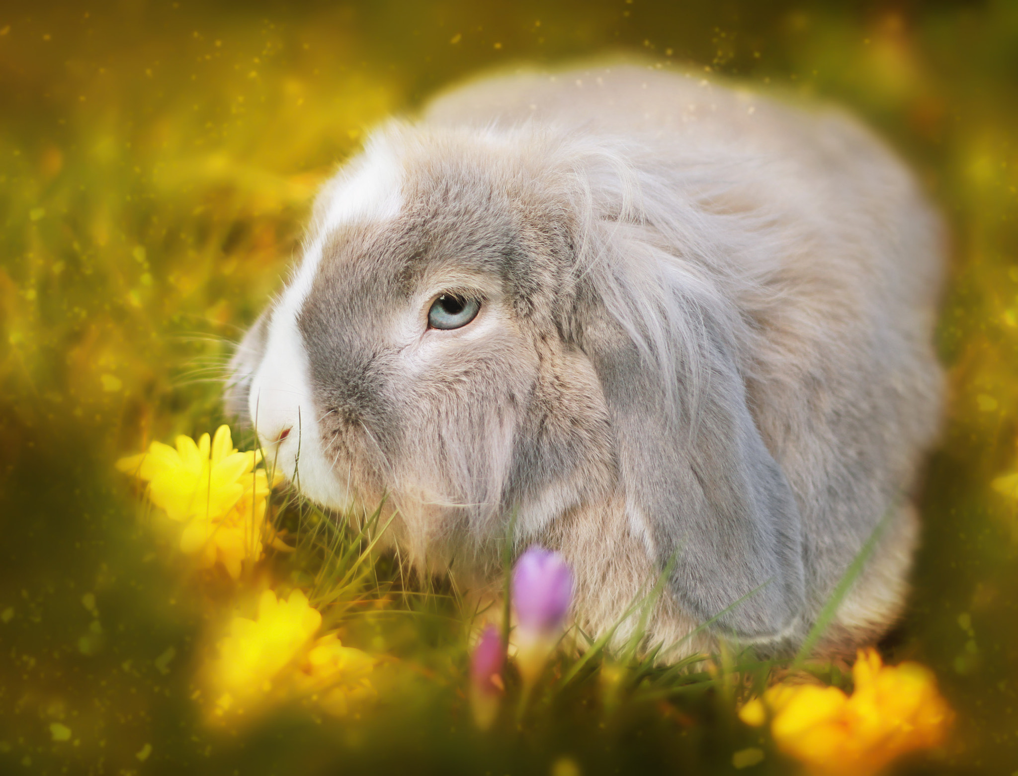 Canon EOS 7D + Canon EF 50mm F1.8 STM sample photo. Rodger in wonderland... photography