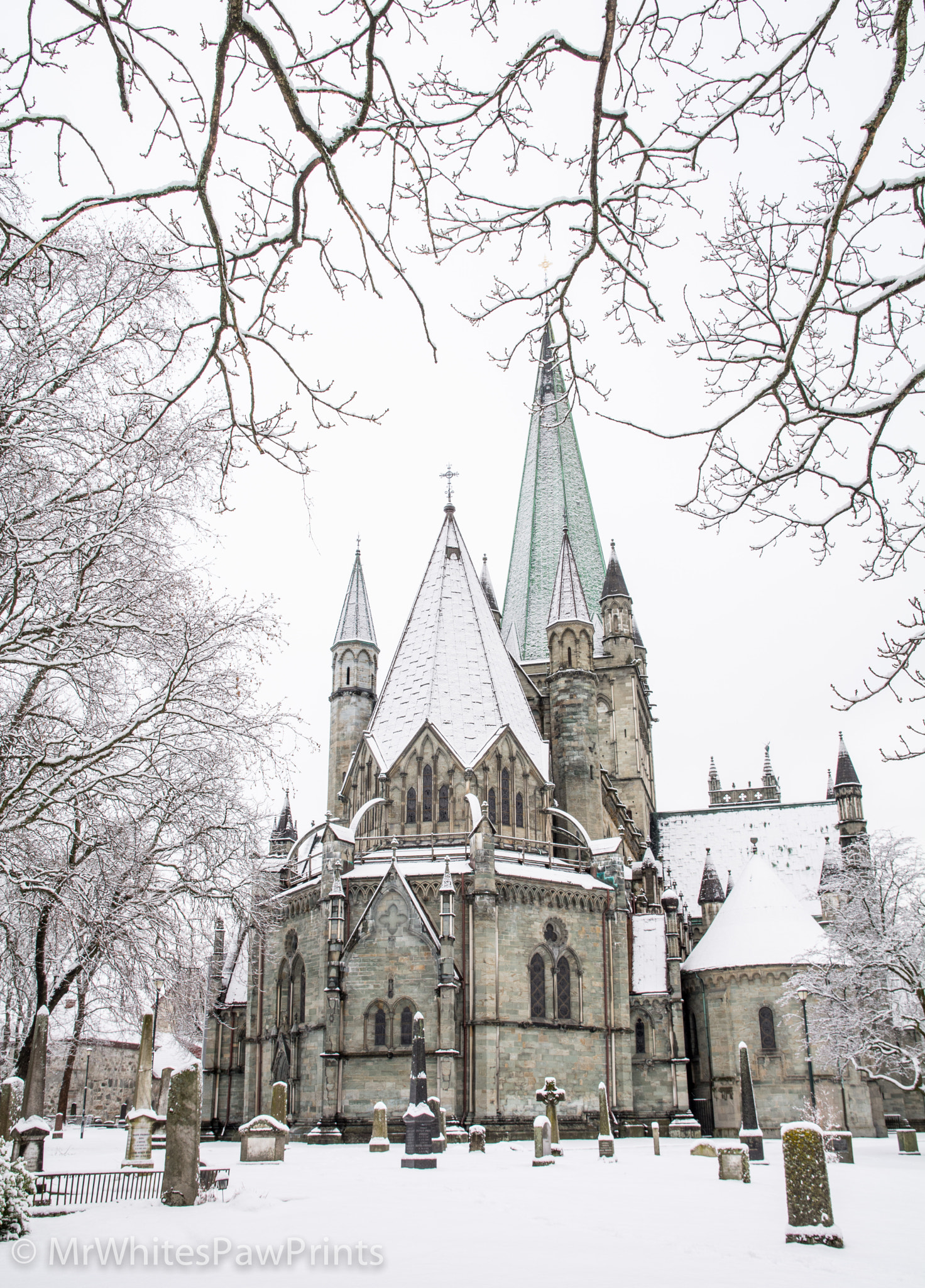 Nikon D7100 sample photo. Nidaros cathedral, trondheim photography