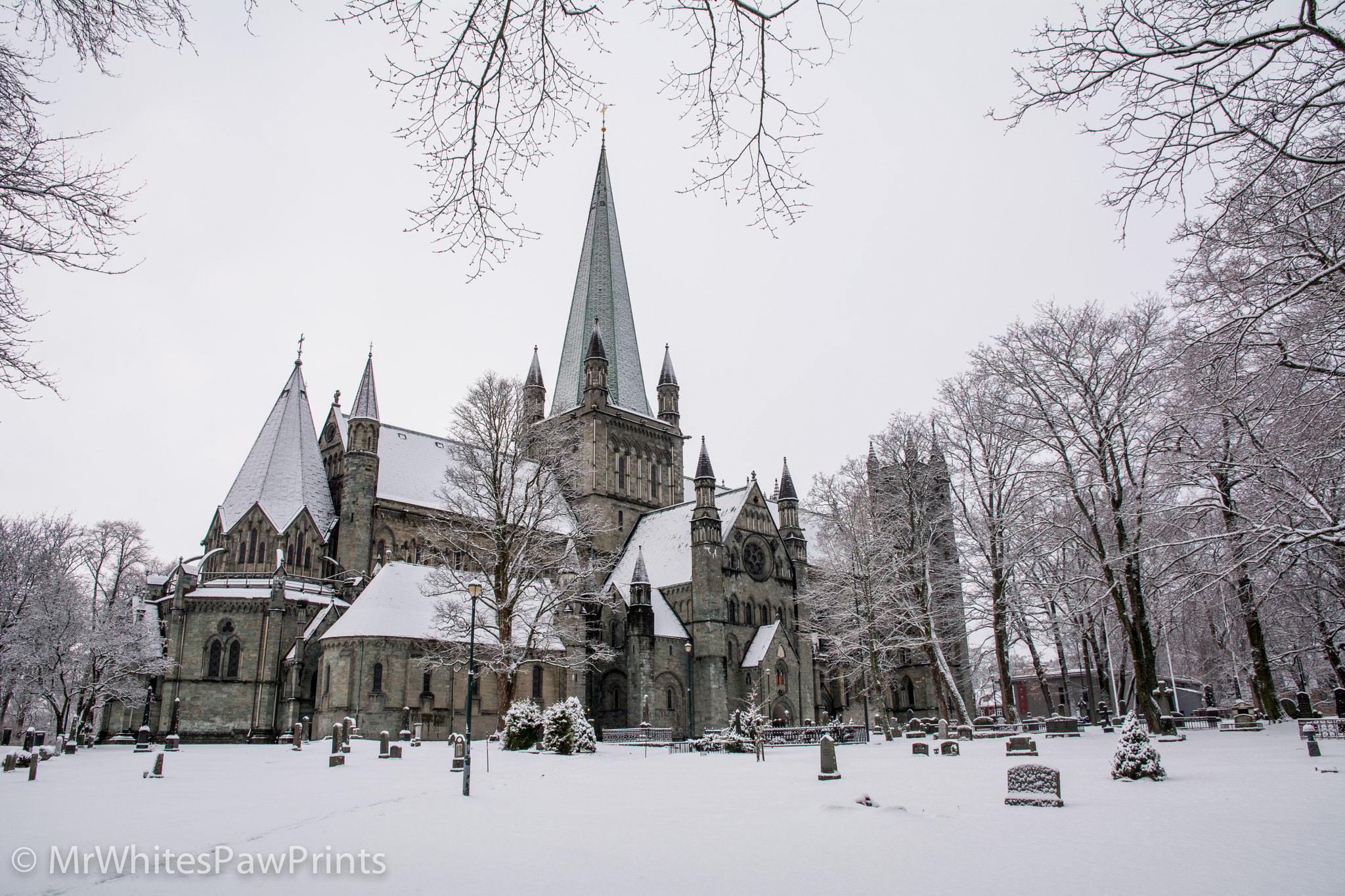 Nikon D7100 sample photo. Nidaros cathedral, trondheim photography