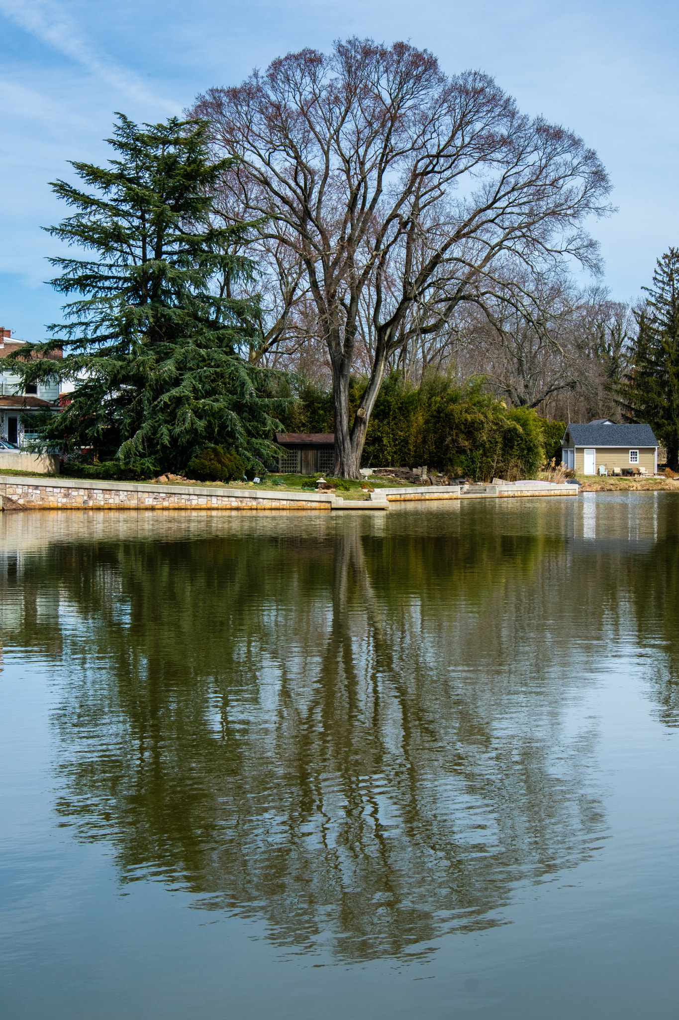 Fujifilm X-T2 + Fujifilm XF 18-135mm F3.5-5.6 R LM OIS WR sample photo. Barren reflection photography