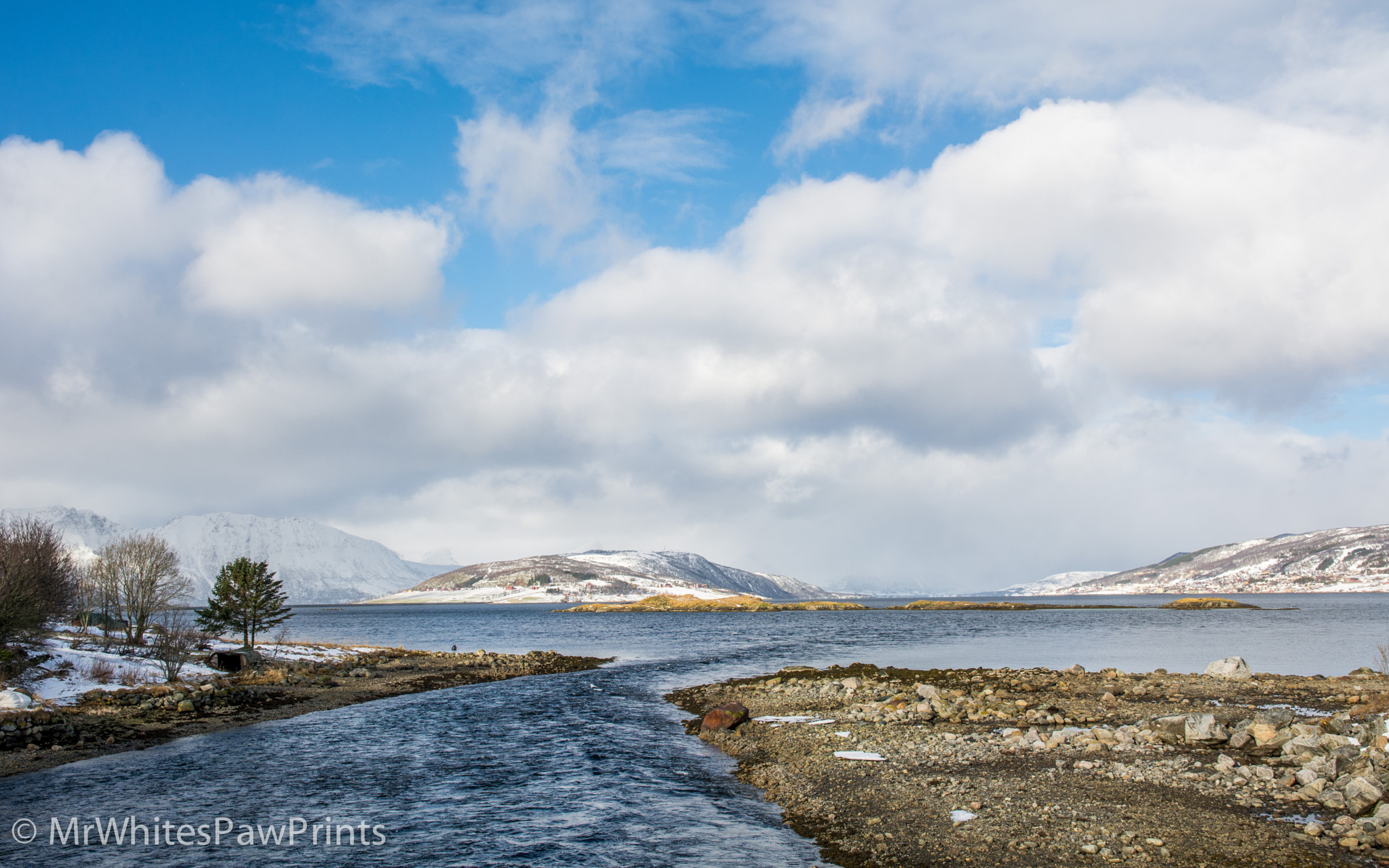 Nikon D7100 sample photo. Gullesfjord, norway photography
