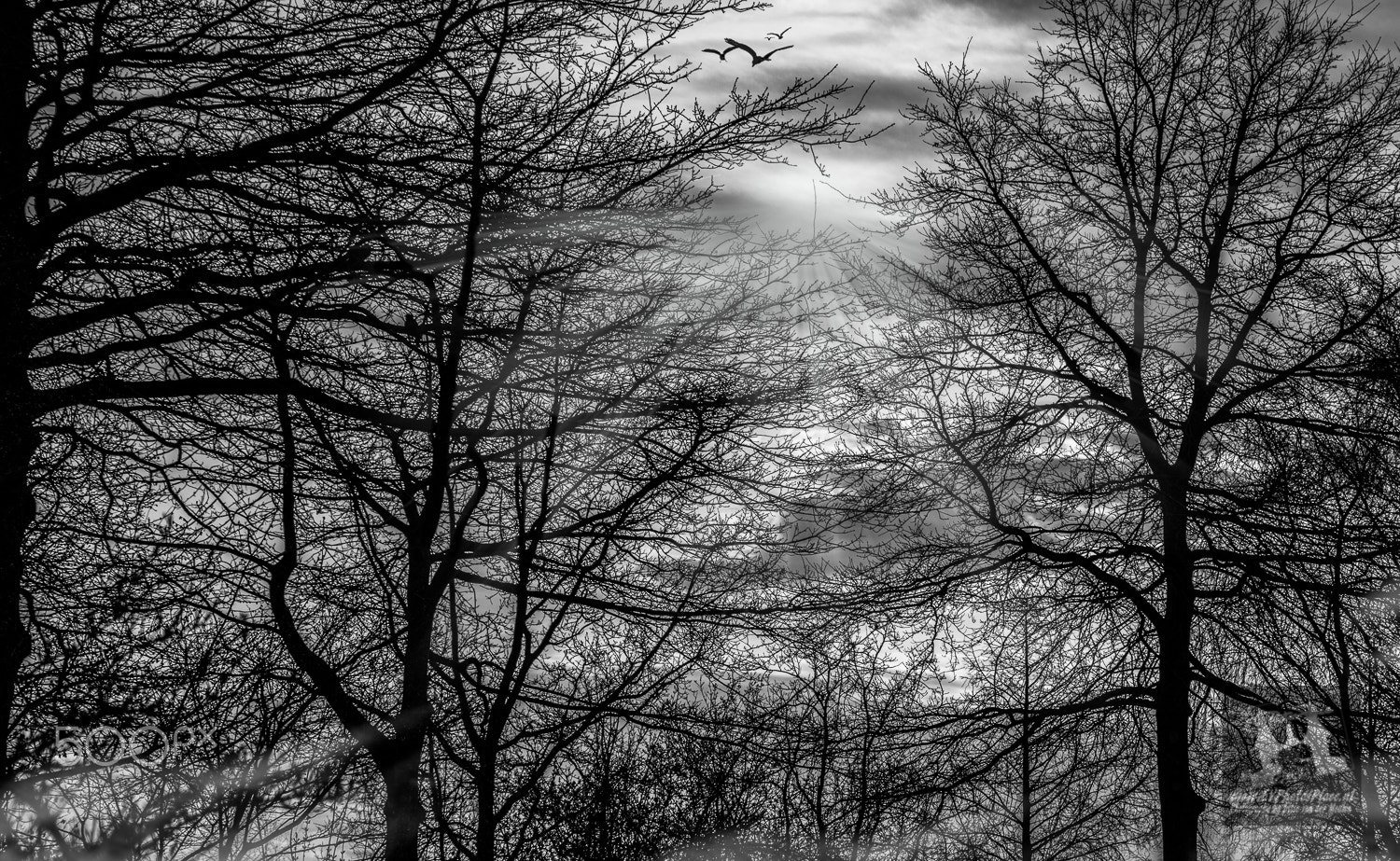Nikon D7200 sample photo. Mysteryworld photography