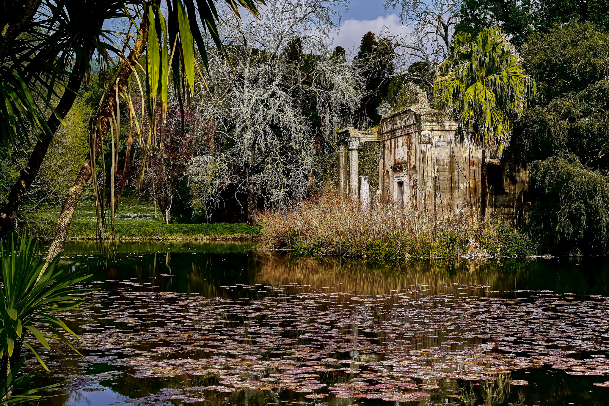 Sony a7R + Sony Sonnar T* FE 55mm F1.8 ZA sample photo. Il tempio nascosto photography