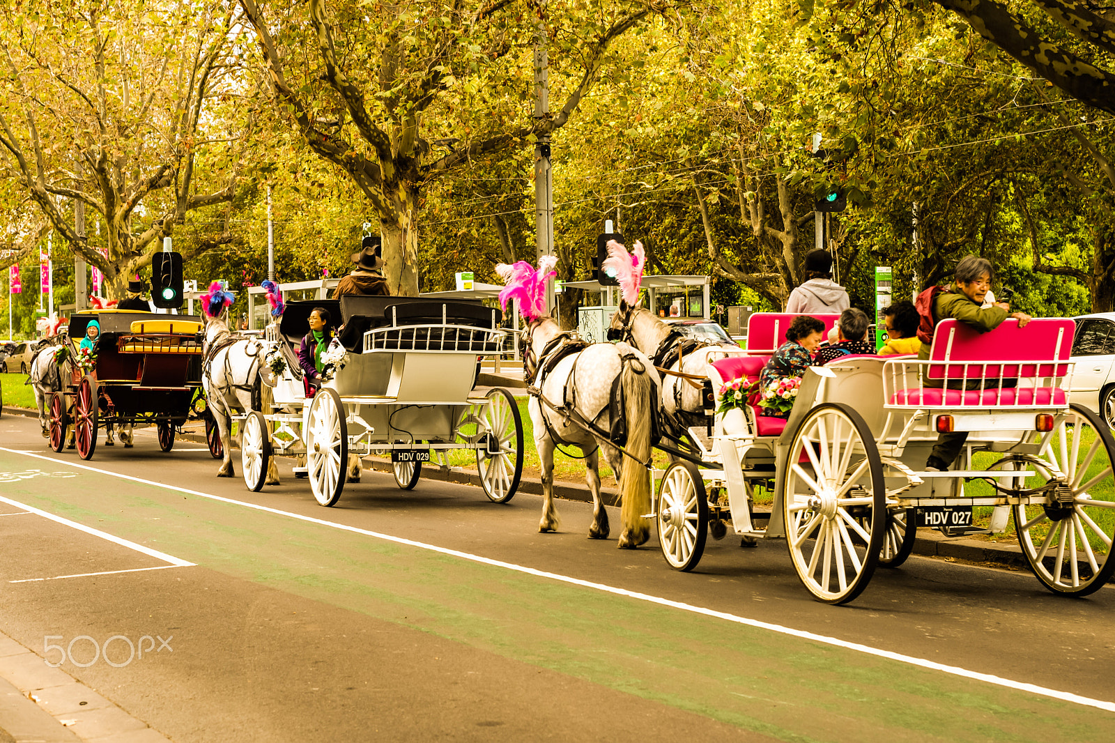 Leica APO-Summicron-M 75mm F2 ASPH sample photo. Tourists on carriage photography