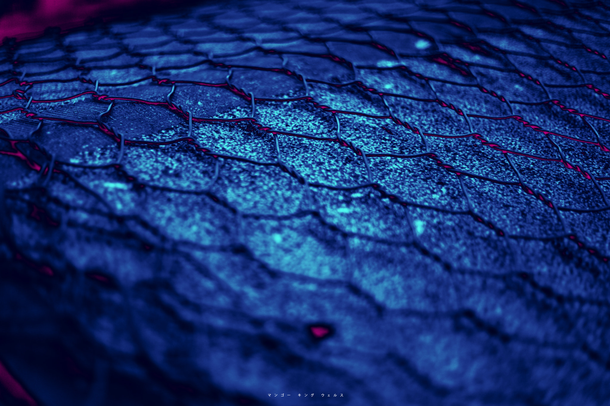 Canon EF 50mm F1.8 II sample photo. Branch photography