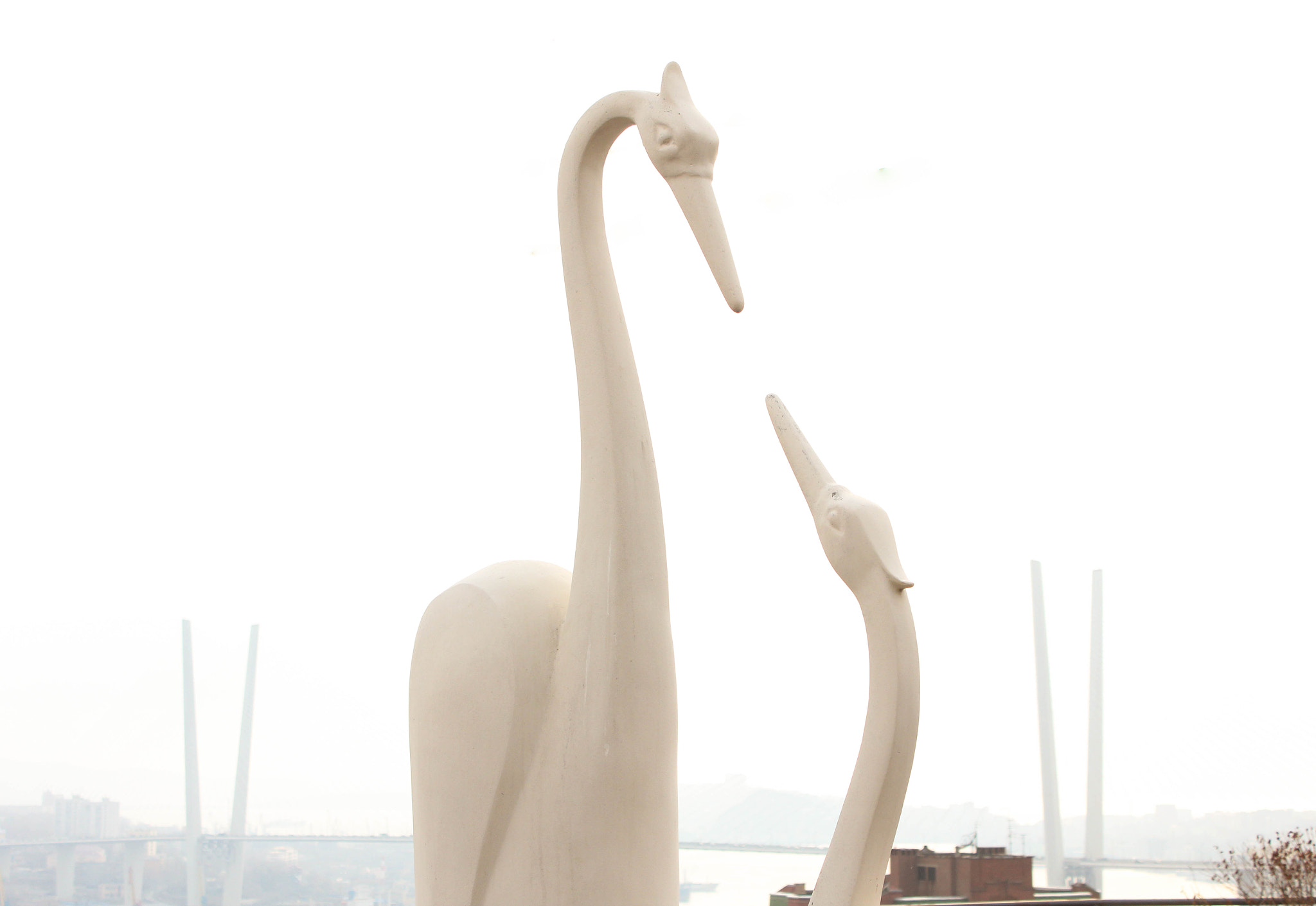 Canon EF-S 18-55mm F3.5-5.6 IS sample photo. Birds photography