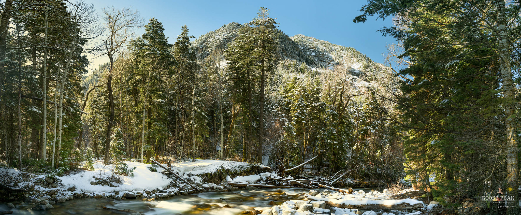 ZEISS Batis 25mm F2 sample photo. Snowy forest photography