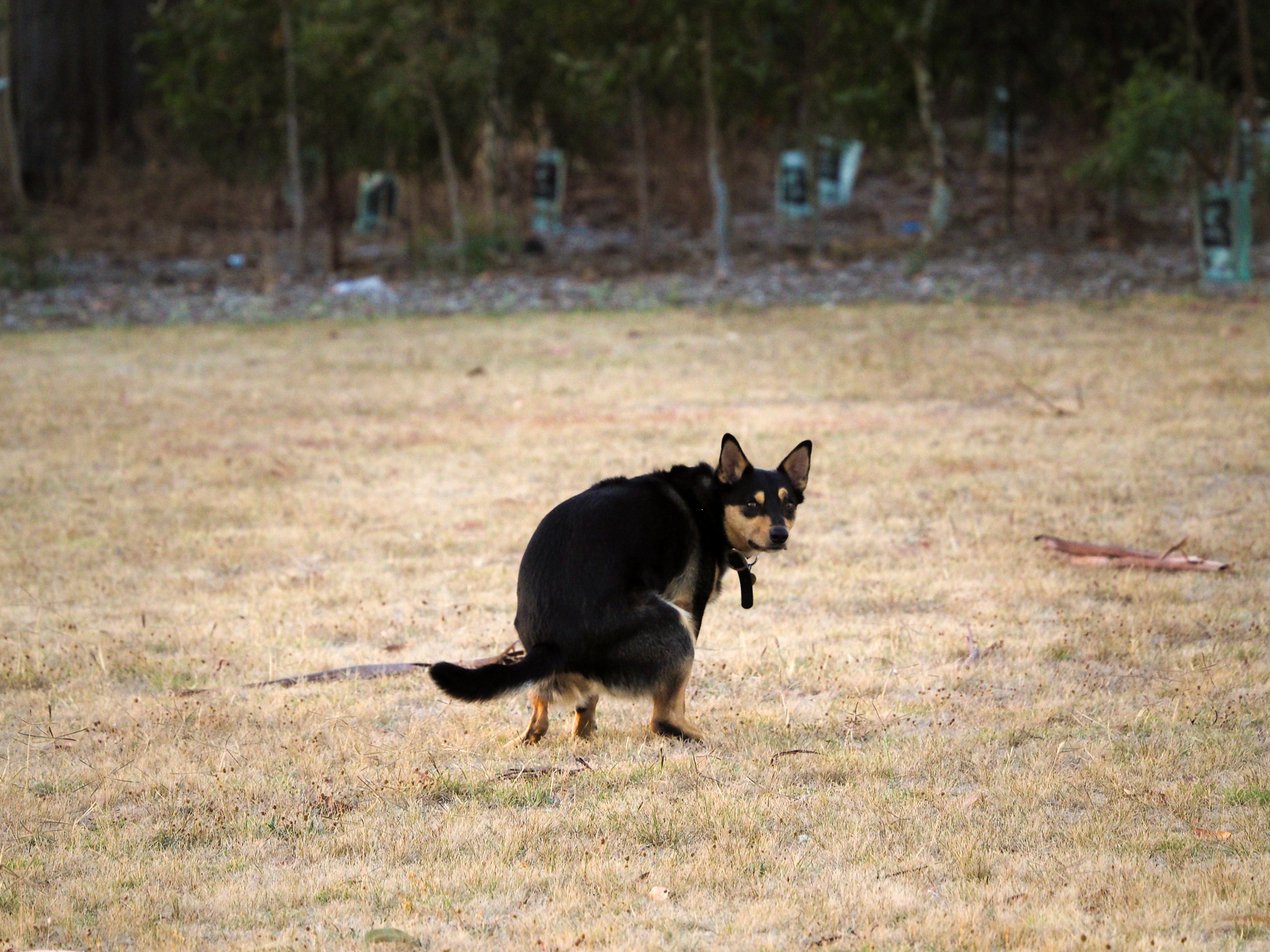 Olympus OM-D E-M5 II sample photo. True beauty doesnt exi- photography