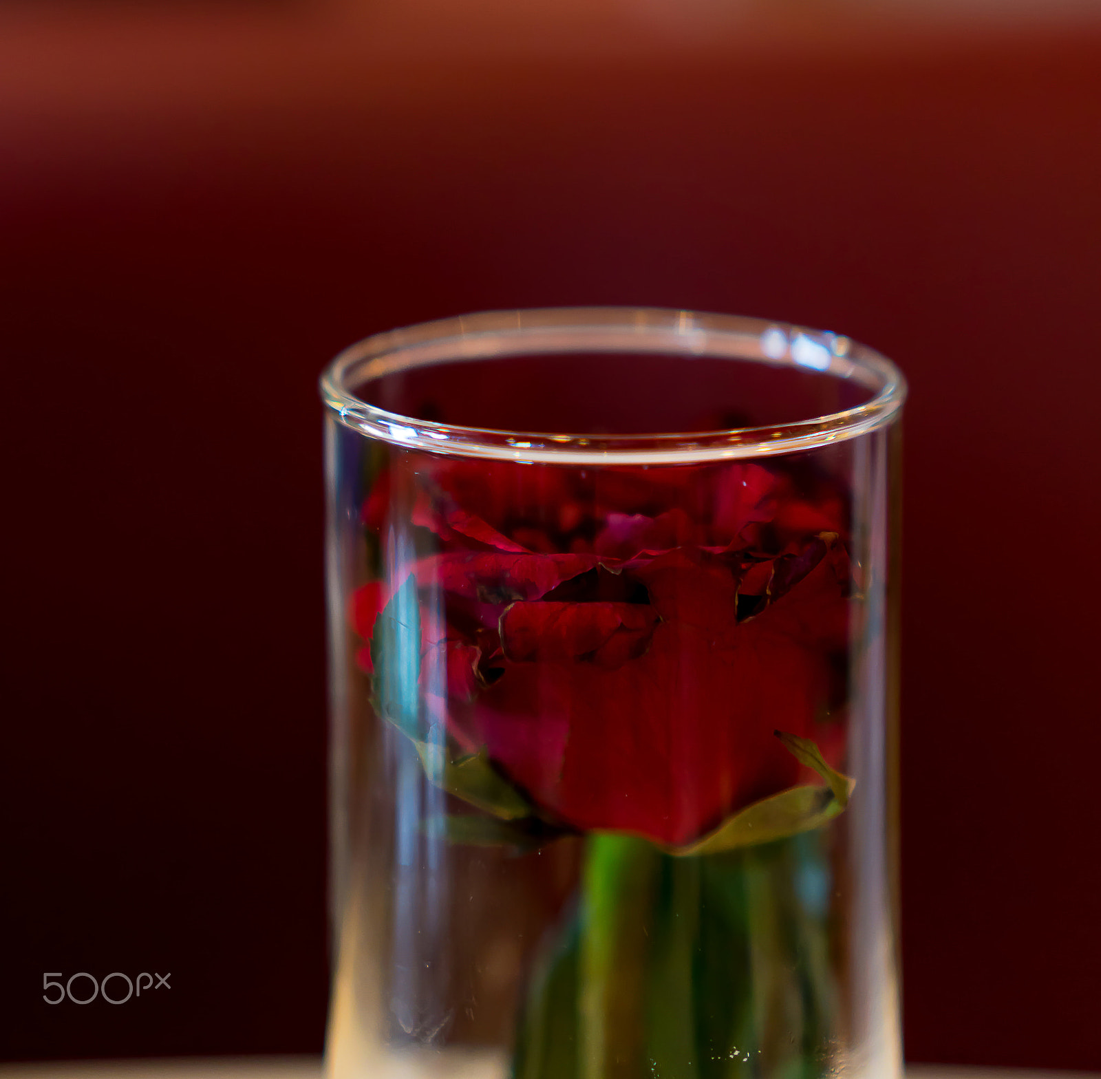 Sony a6300 sample photo. Rose in glass photography