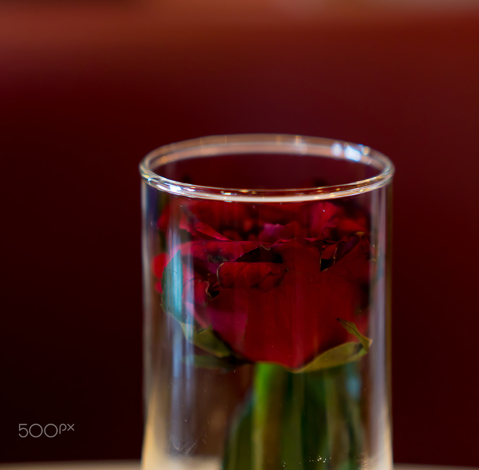 Sony E 35mm F1.8 OSS sample photo. Rose in glass photography