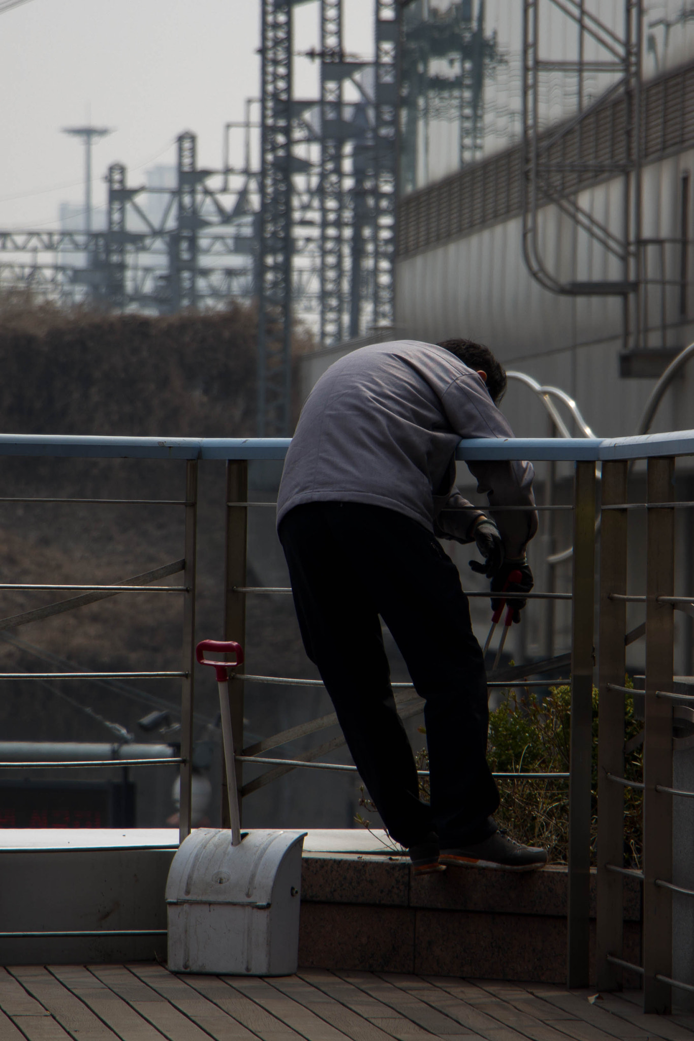 Canon EOS 550D (EOS Rebel T2i / EOS Kiss X4) sample photo. Hard life photography
