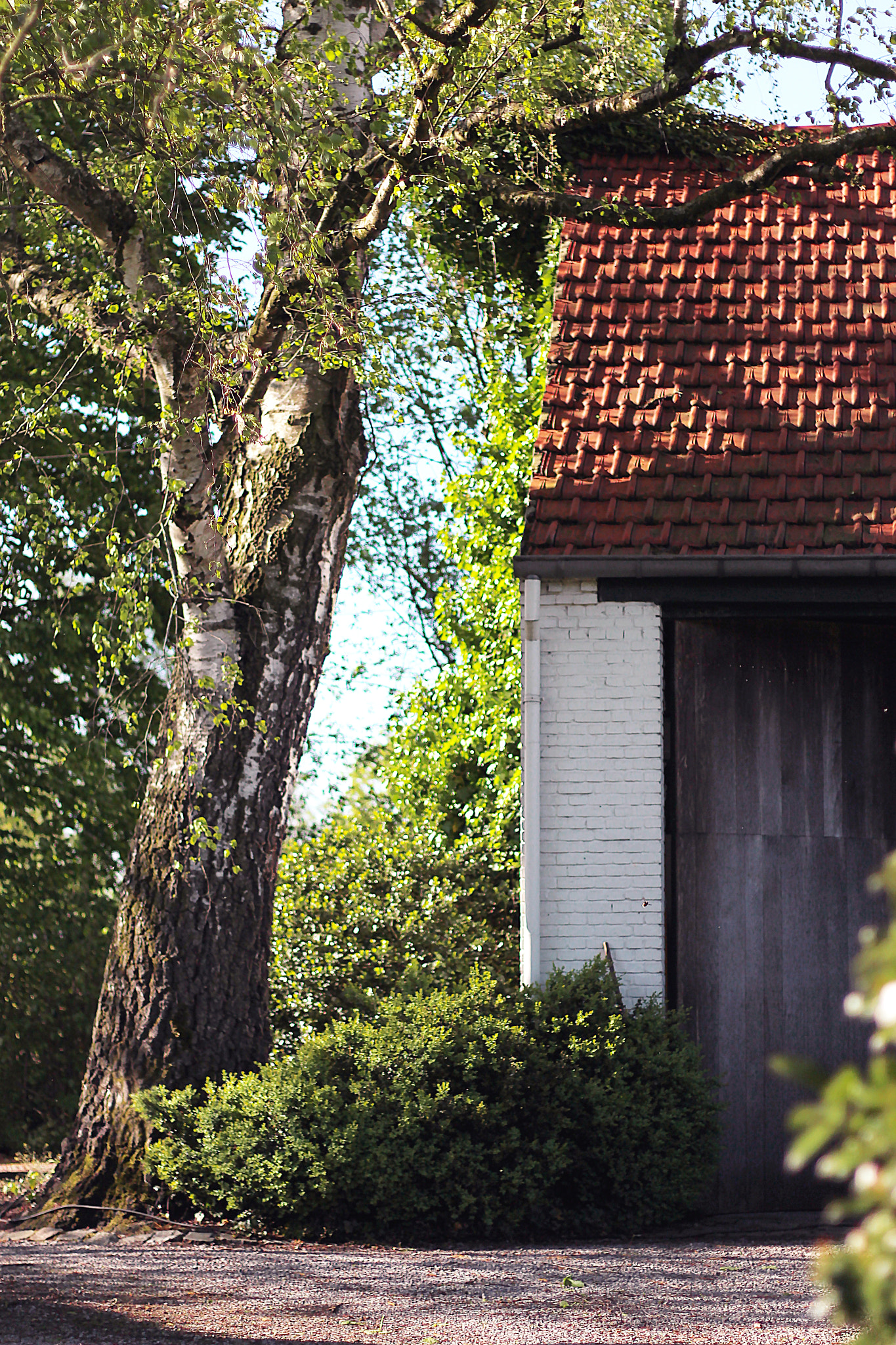 Canon EOS 700D (EOS Rebel T5i / EOS Kiss X7i) + Canon EF 50mm F1.8 II sample photo. Farmhouse photography
