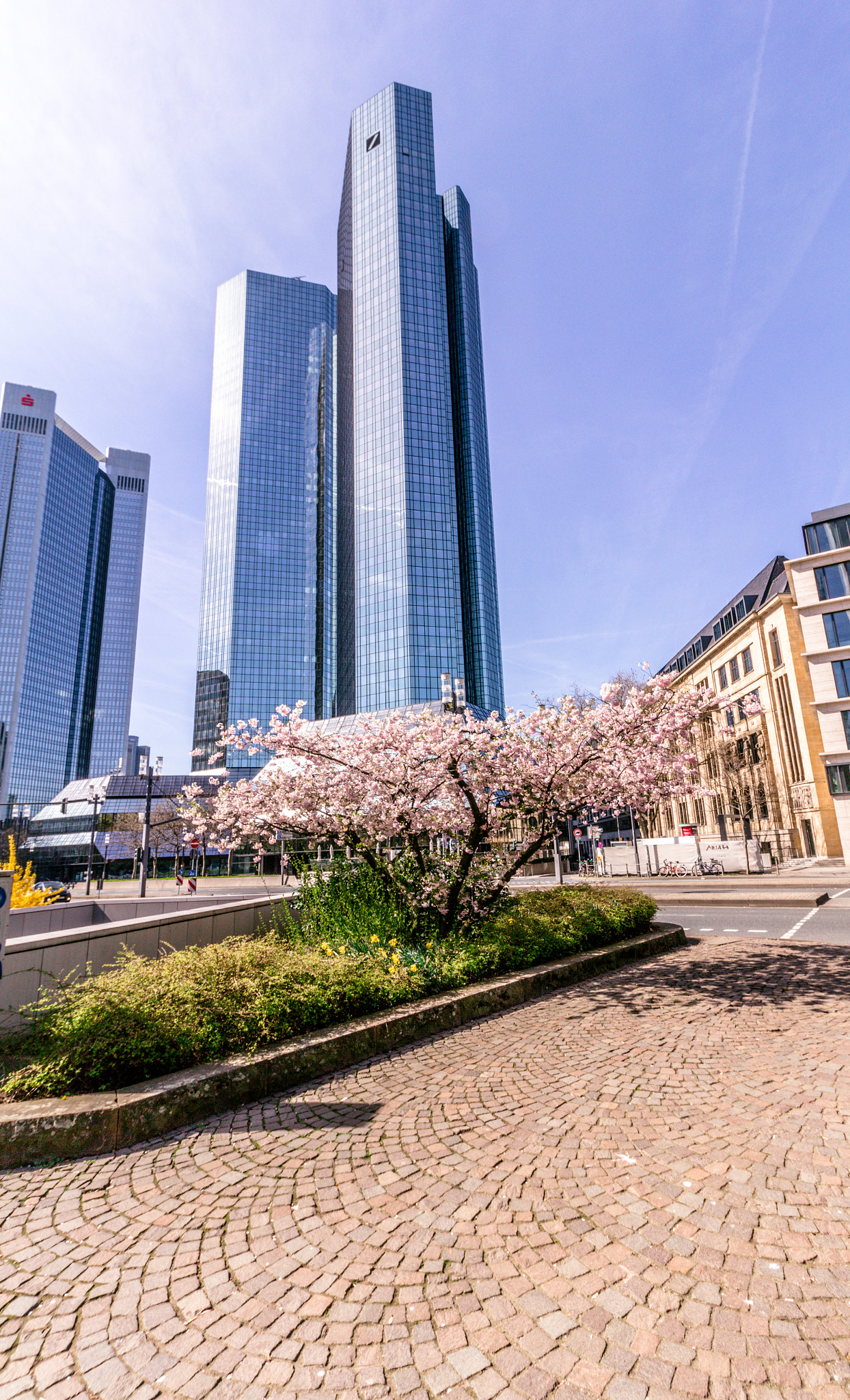 Canon EOS 60D sample photo. Frankfurt buildings photography
