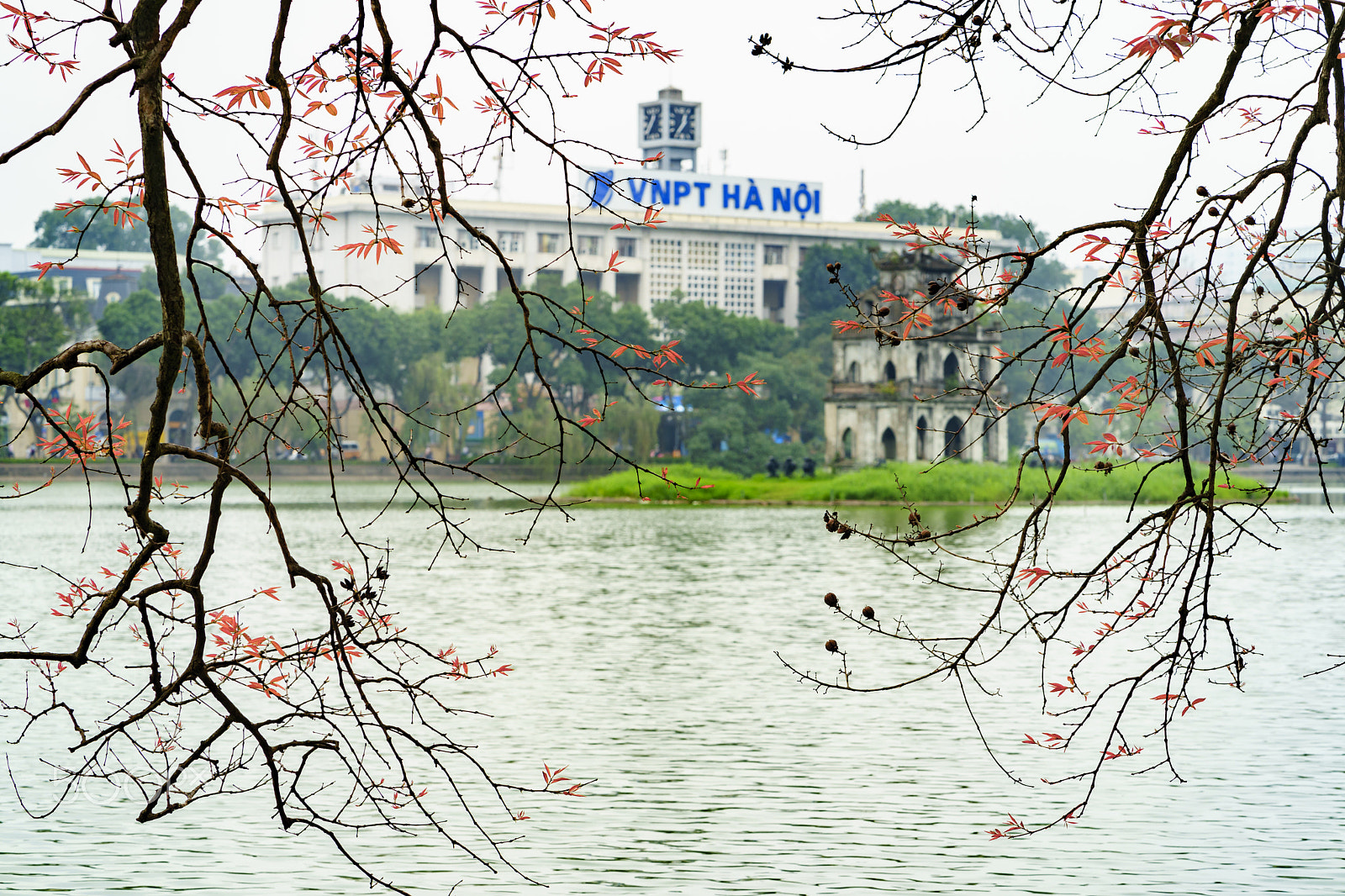 Sony a7 II + ZEISS Batis 85mm F1.8 sample photo. Hanoi changing season photography