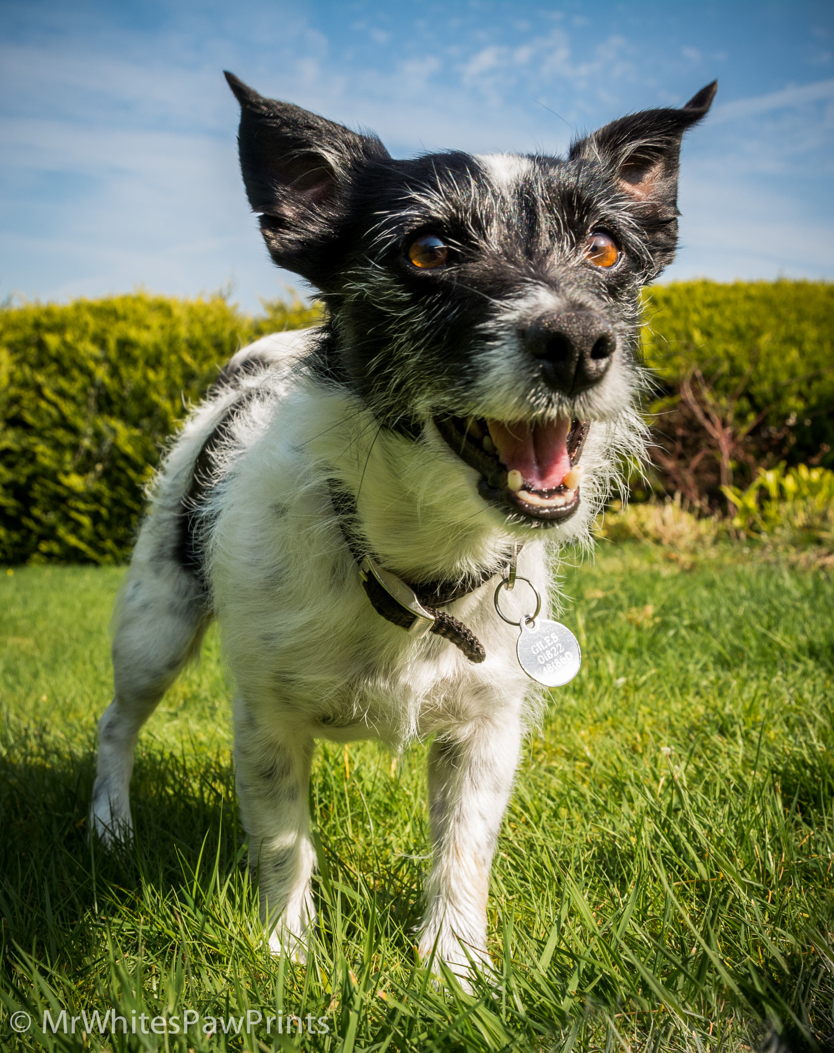 Nikon D7100 sample photo. Happy nibbler photography