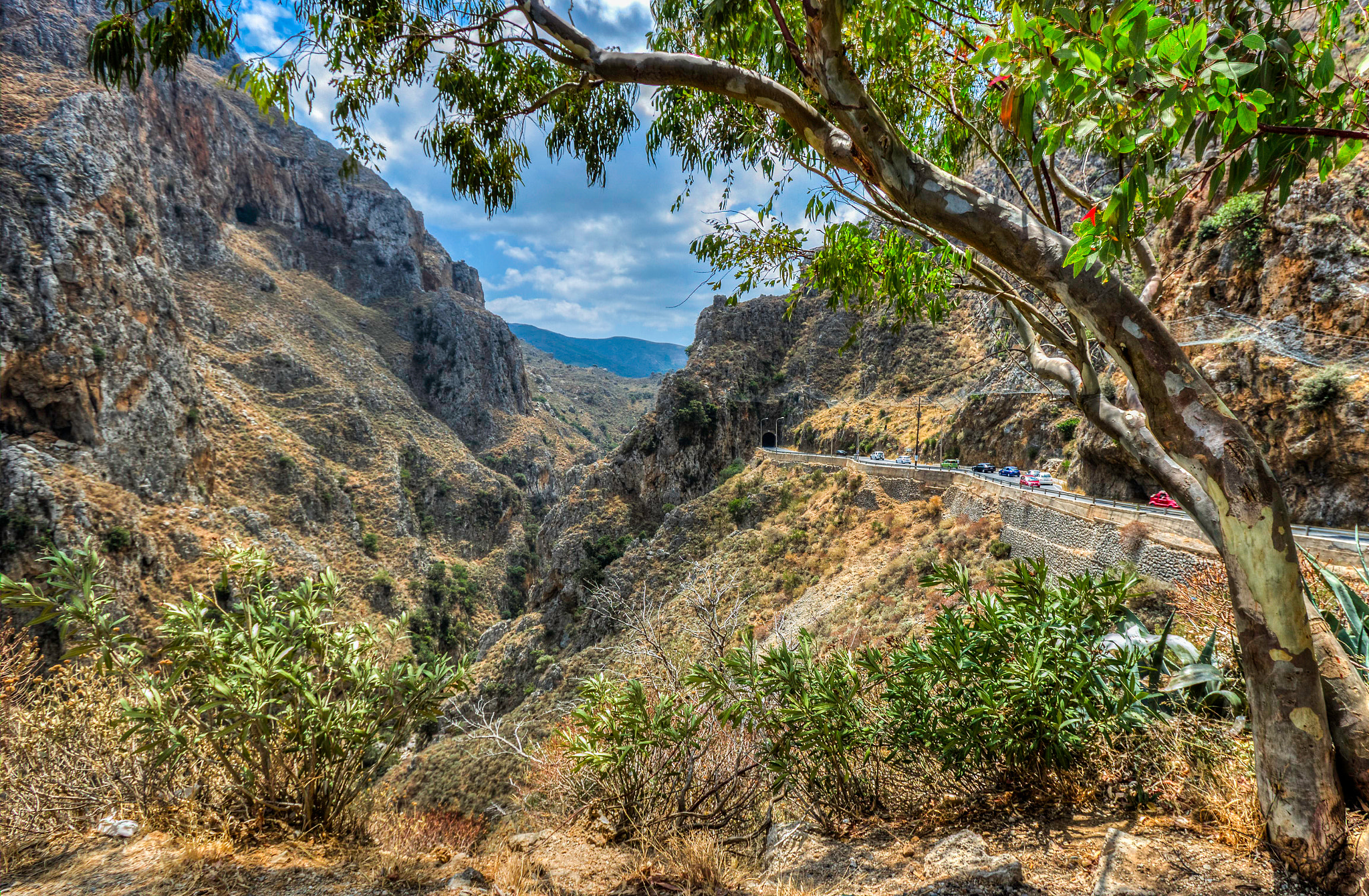 Canon EF-S 10-22mm F3.5-4.5 USM sample photo. Topolia gorj, crete photography