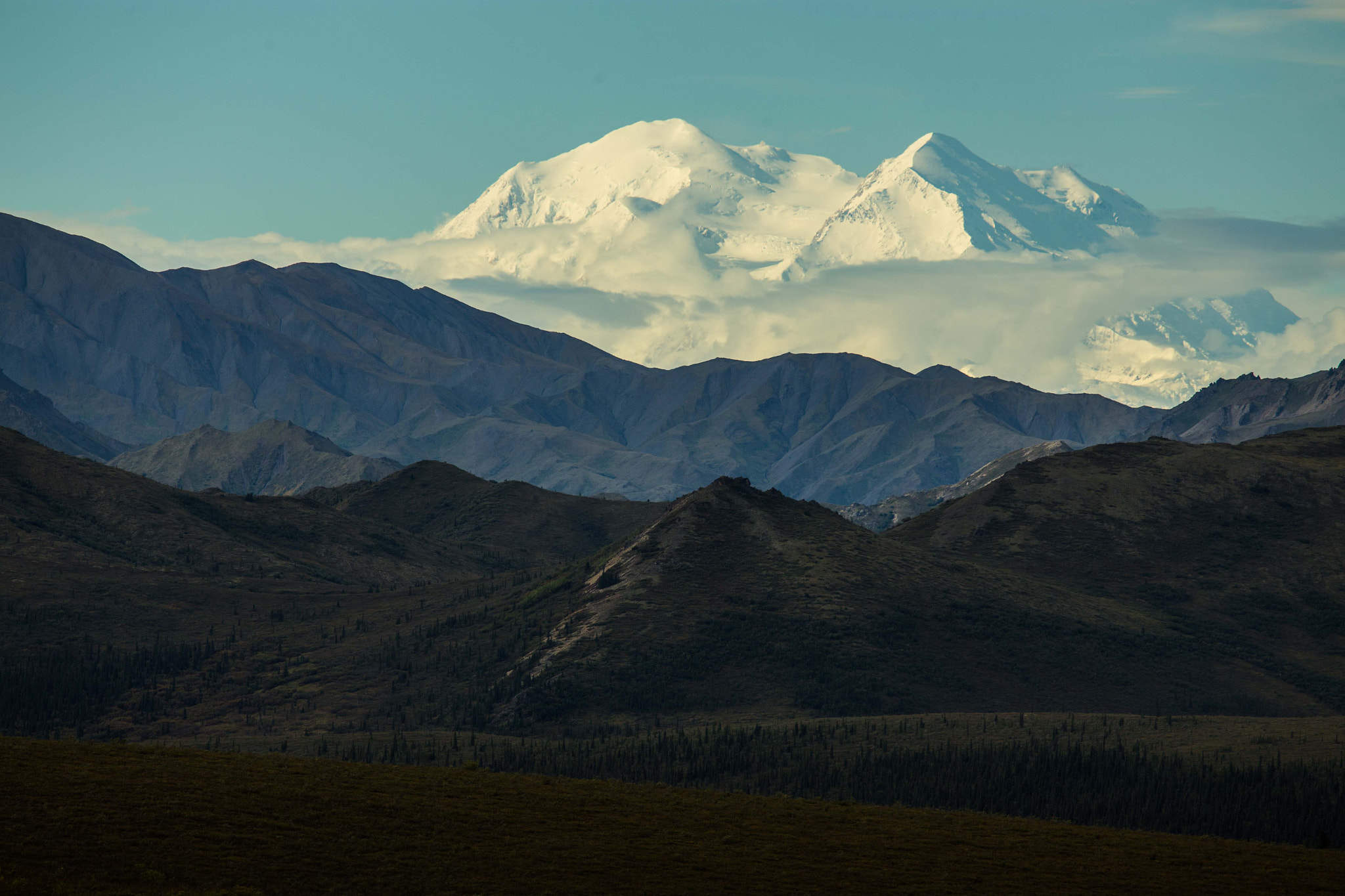 Canon EOS 6D + Canon EF 100-400mm F4.5-5.6L IS USM sample photo. Denali up close photography