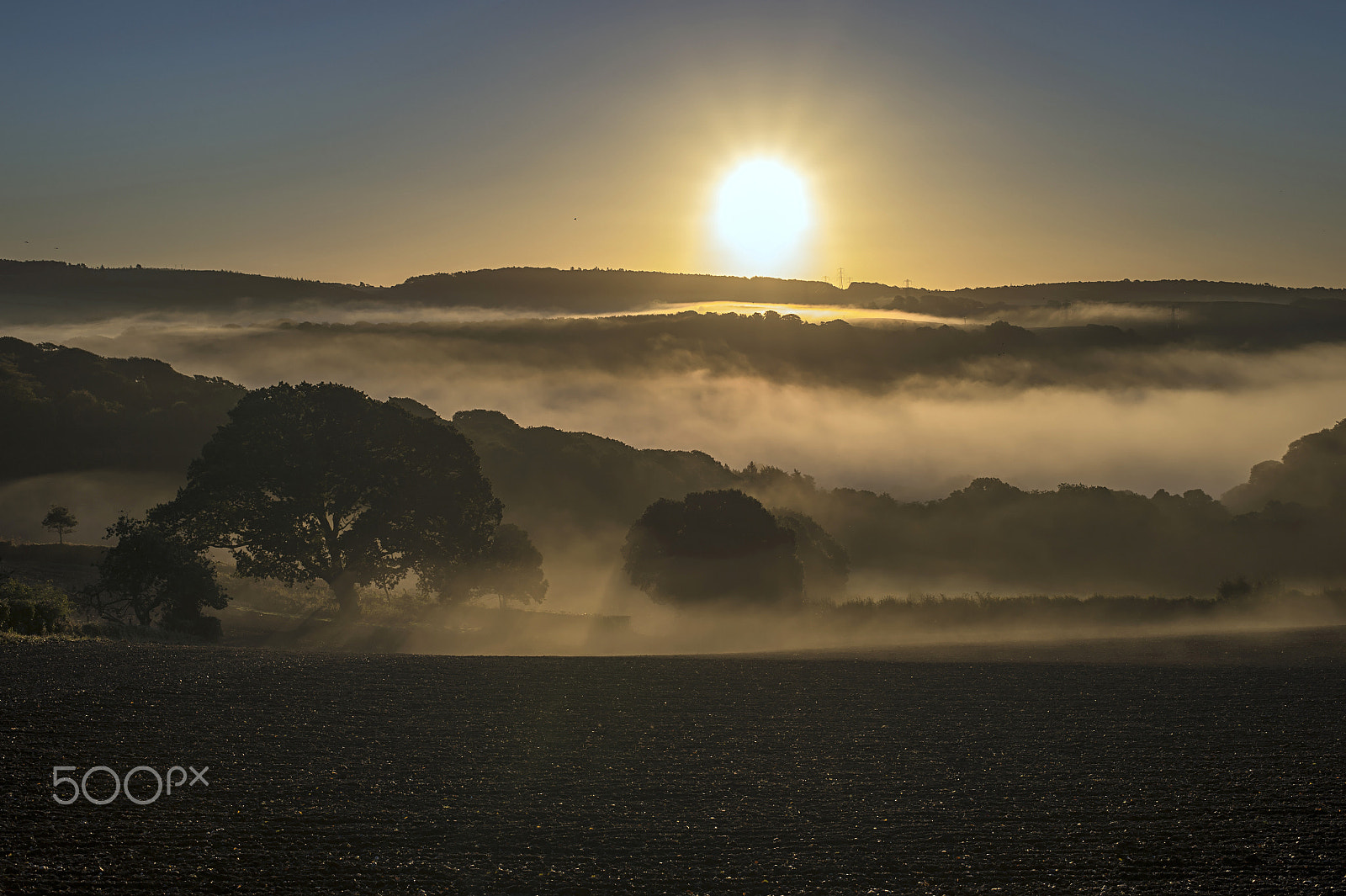 Nikon D4S + Nikon AF-S Nikkor 50mm F1.8G sample photo. Sunrise mist - lanhydrock national trust, cornwall photography