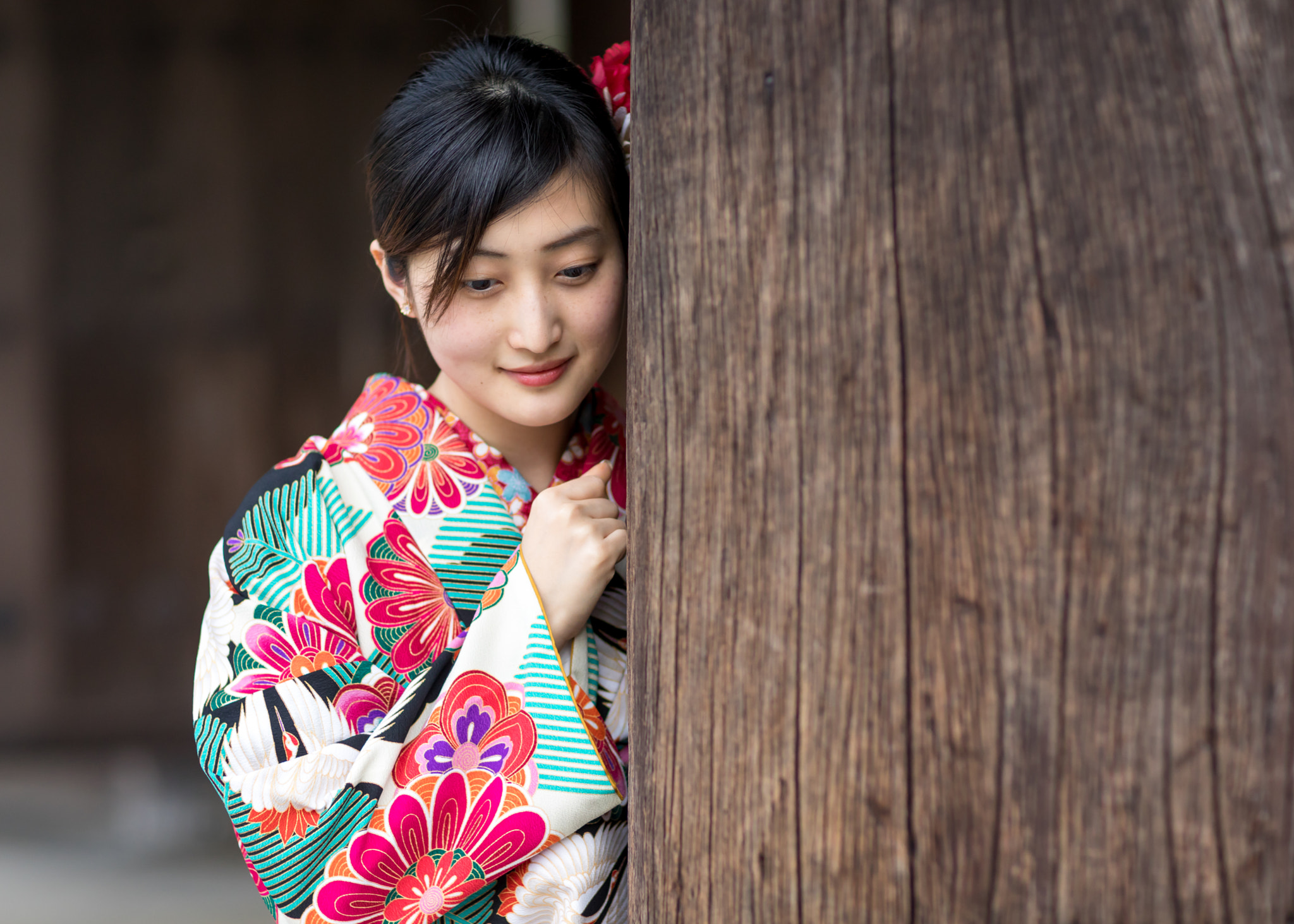 Canon EF 85mm F1.2L II USM sample photo. Nanzen temple photography