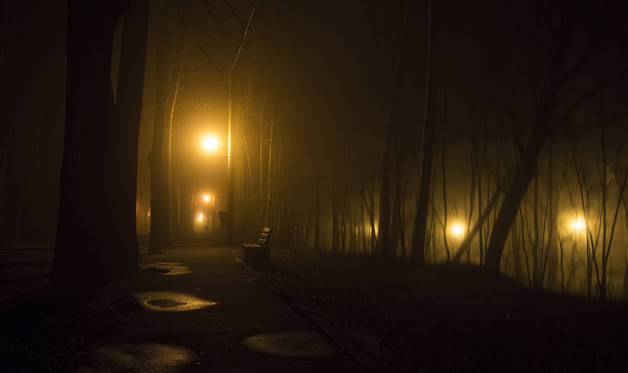 Nikon D7200 sample photo. Mist photography