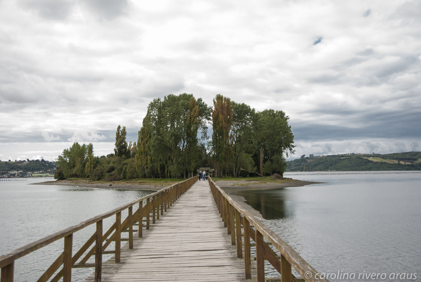 Nikon D80 sample photo. Island aucar photography