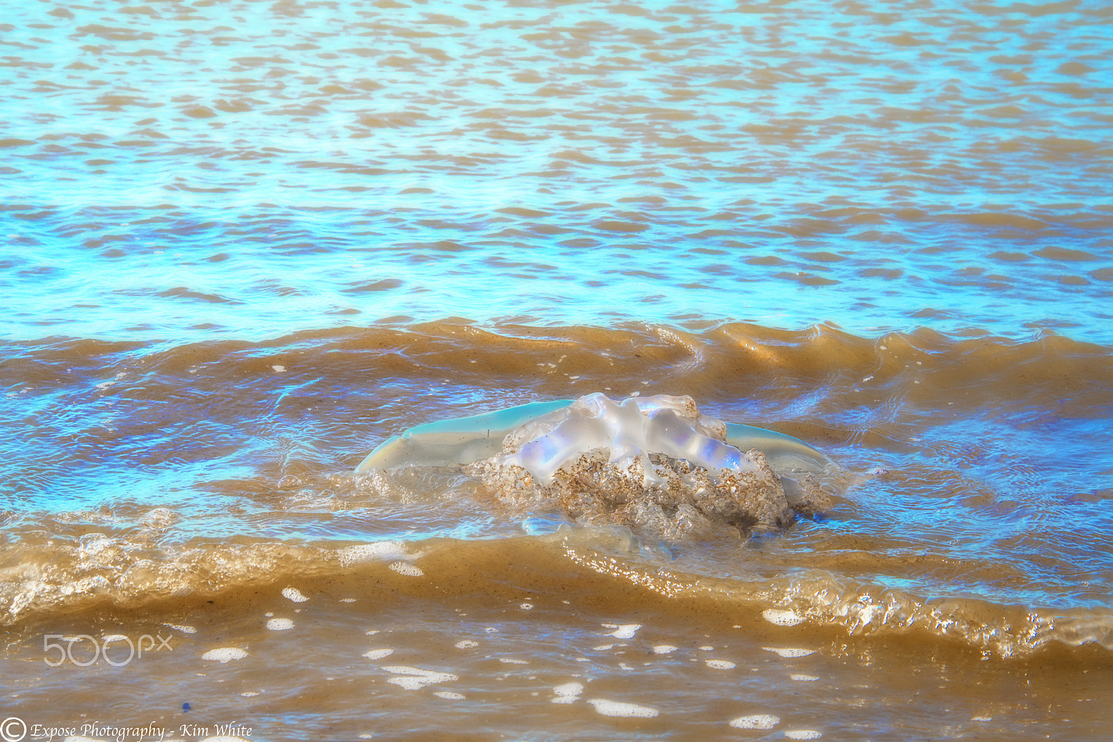 Nikon D500 sample photo. Washed up photography